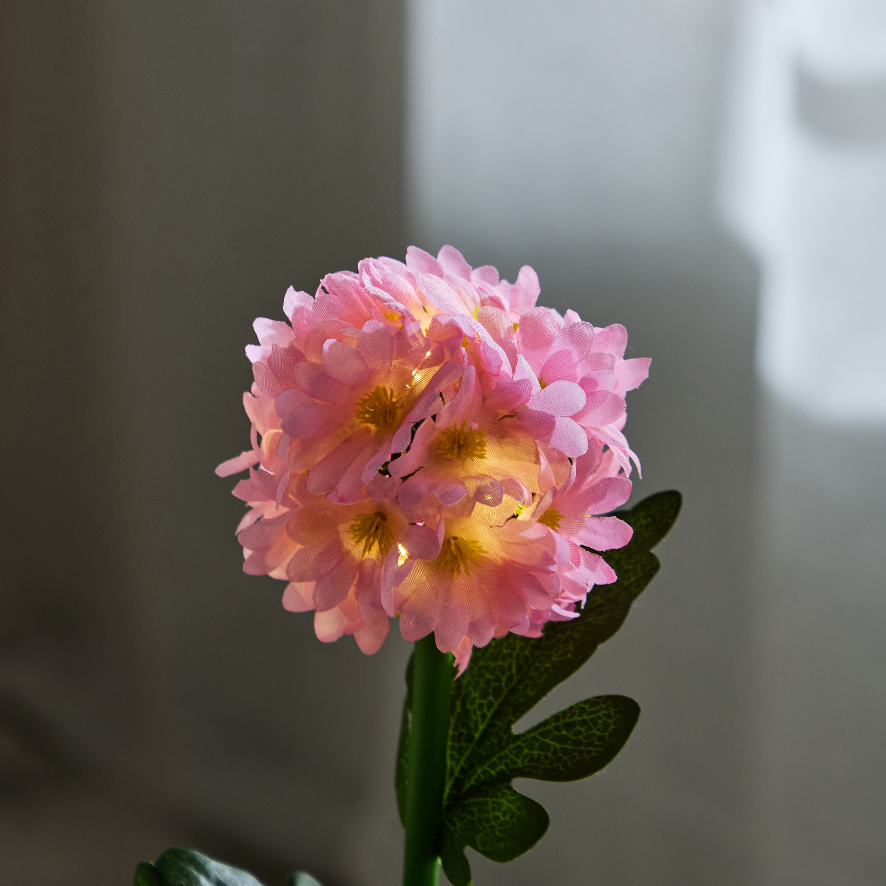 عصا زهرة أل إي دي تعمل بالطاقة الشمسية من لين- 10x10x77 سم-hbxdecorandfurnishings-homeaccessories-artificialflowersandplants-image-4