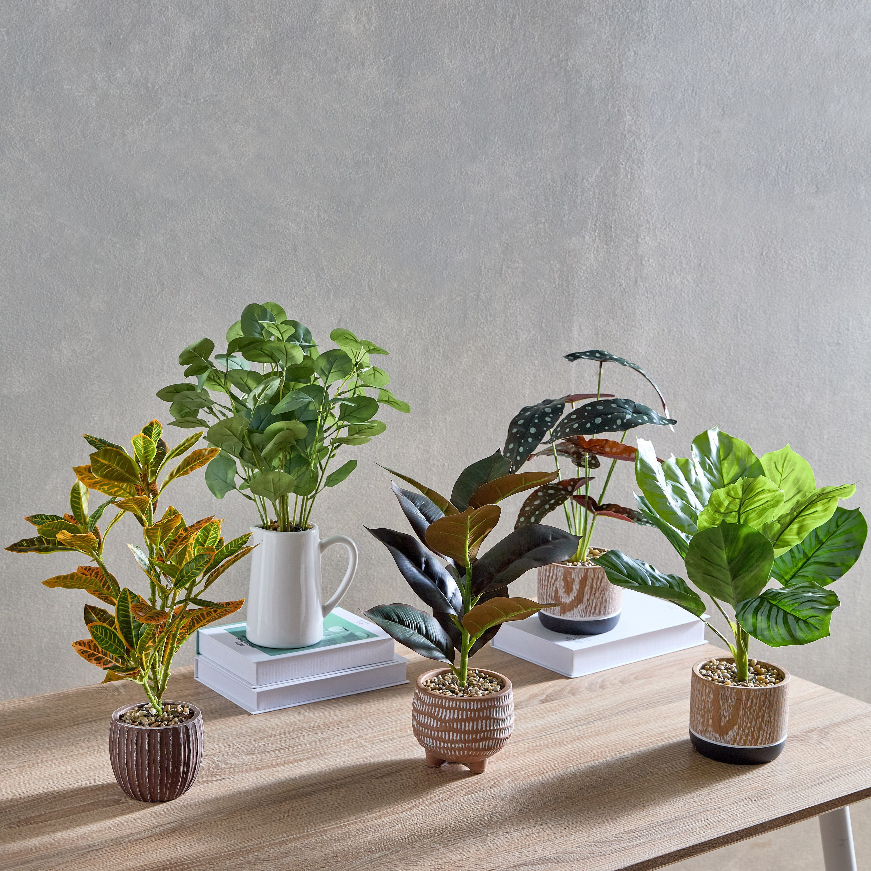 نبات صناعي بأوراق الأوكالبتوس في إناء سيراميك بمقبض من هيلينا - 15x15x43 سم-hbxhomeware-hbxdecorandfurnishings-image-4