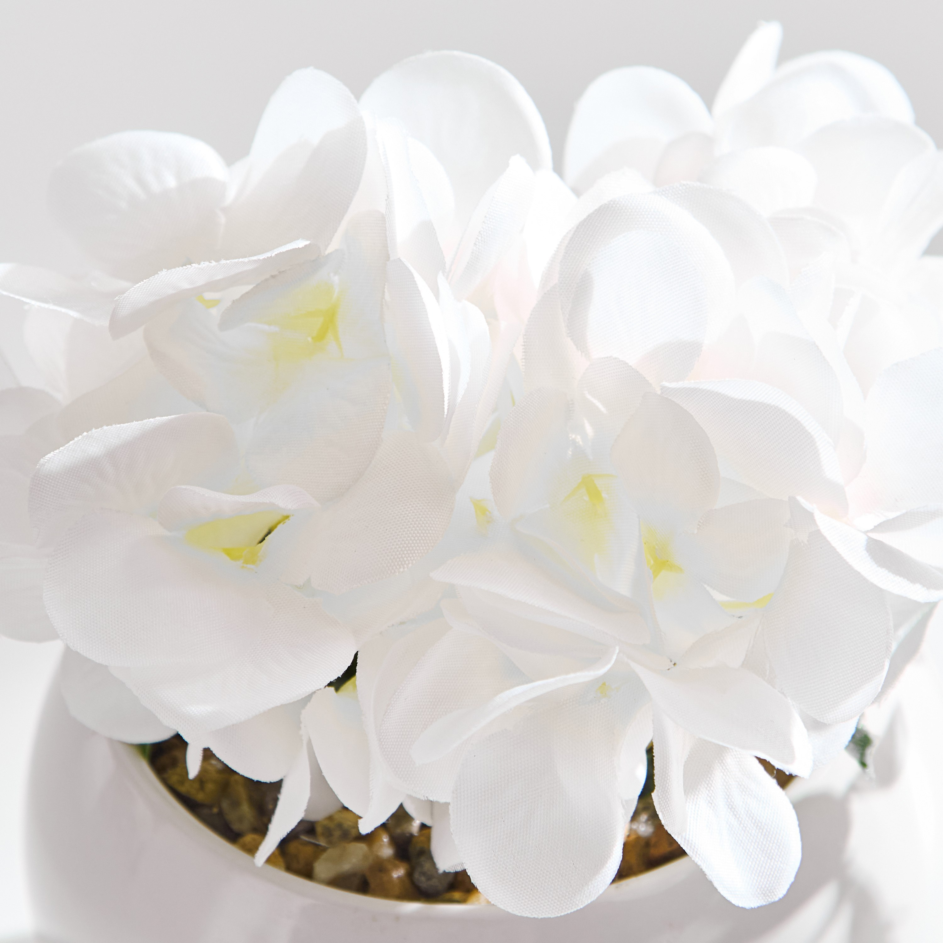 Siera Hydrangea Flower Potted Plant with Ceramic Pot - 6x6x12 cm-hbxhomeware-hbxdecorandfurnishings-image-2