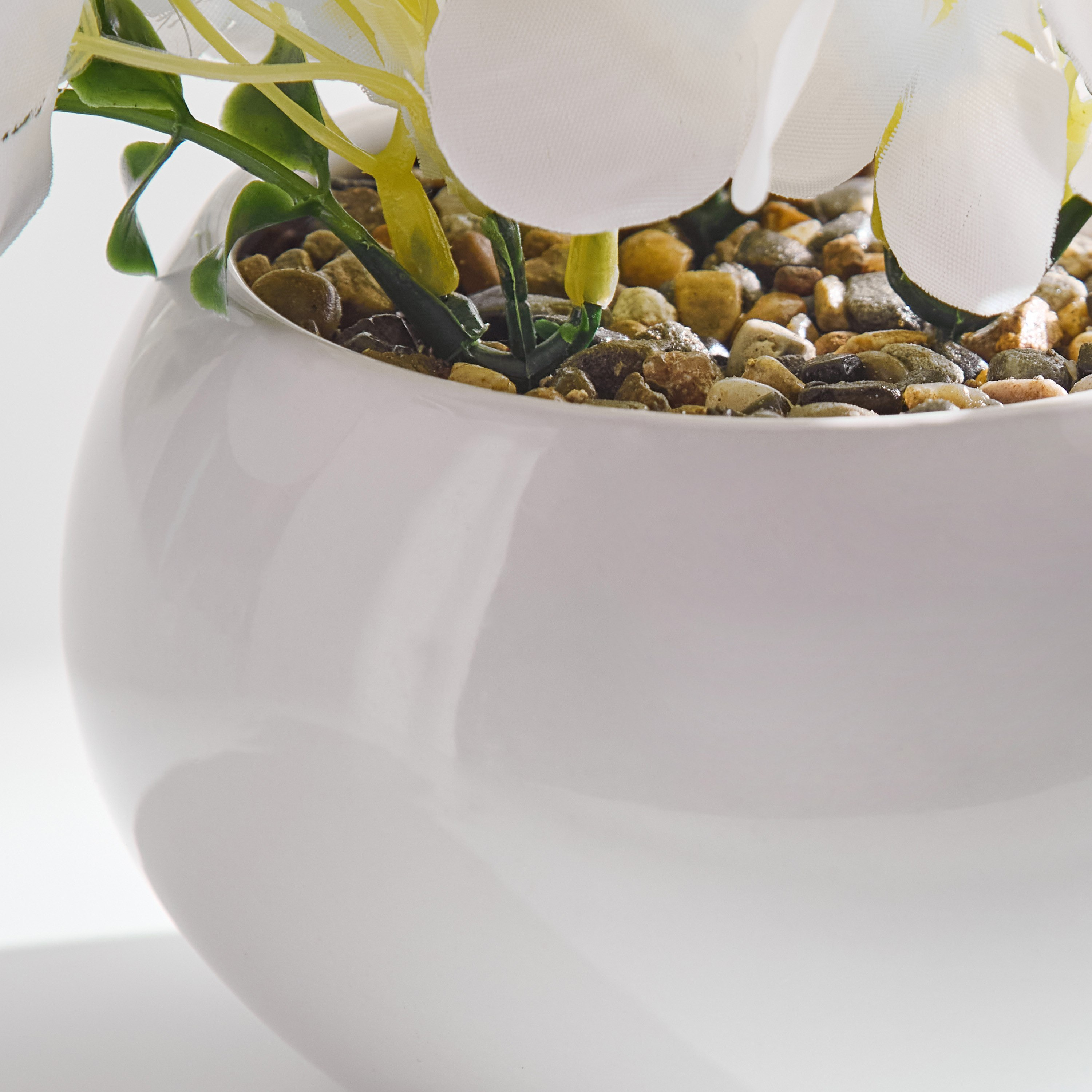 Siera Hydrangea Flower Potted Plant with Ceramic Pot - 6x6x12 cm-hbxhomeware-hbxdecorandfurnishings-image-3