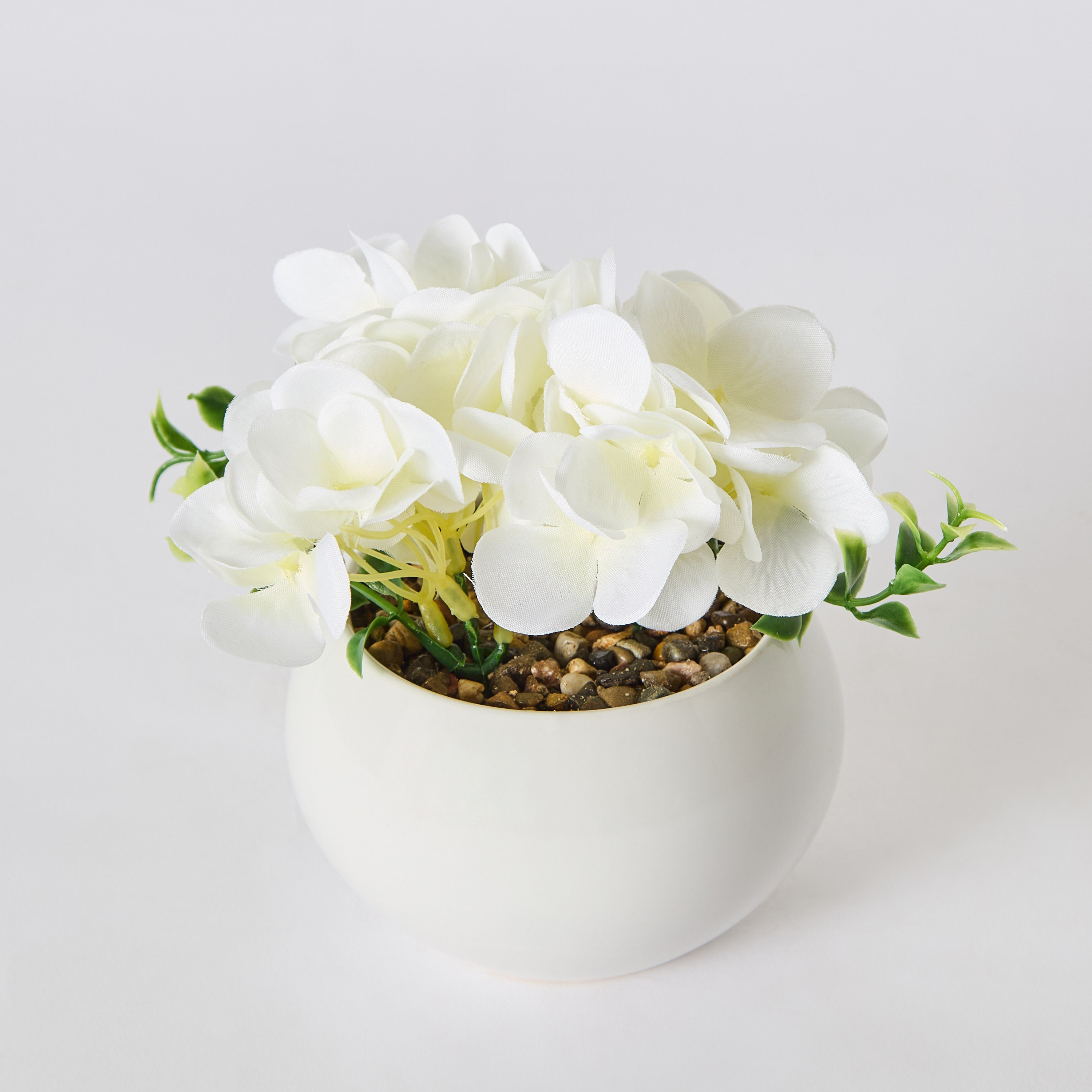 Siera Hydrangea Flower Potted Plant with Ceramic Pot - 6x6x12 cm-hbxhomeware-hbxdecorandfurnishings-image-5