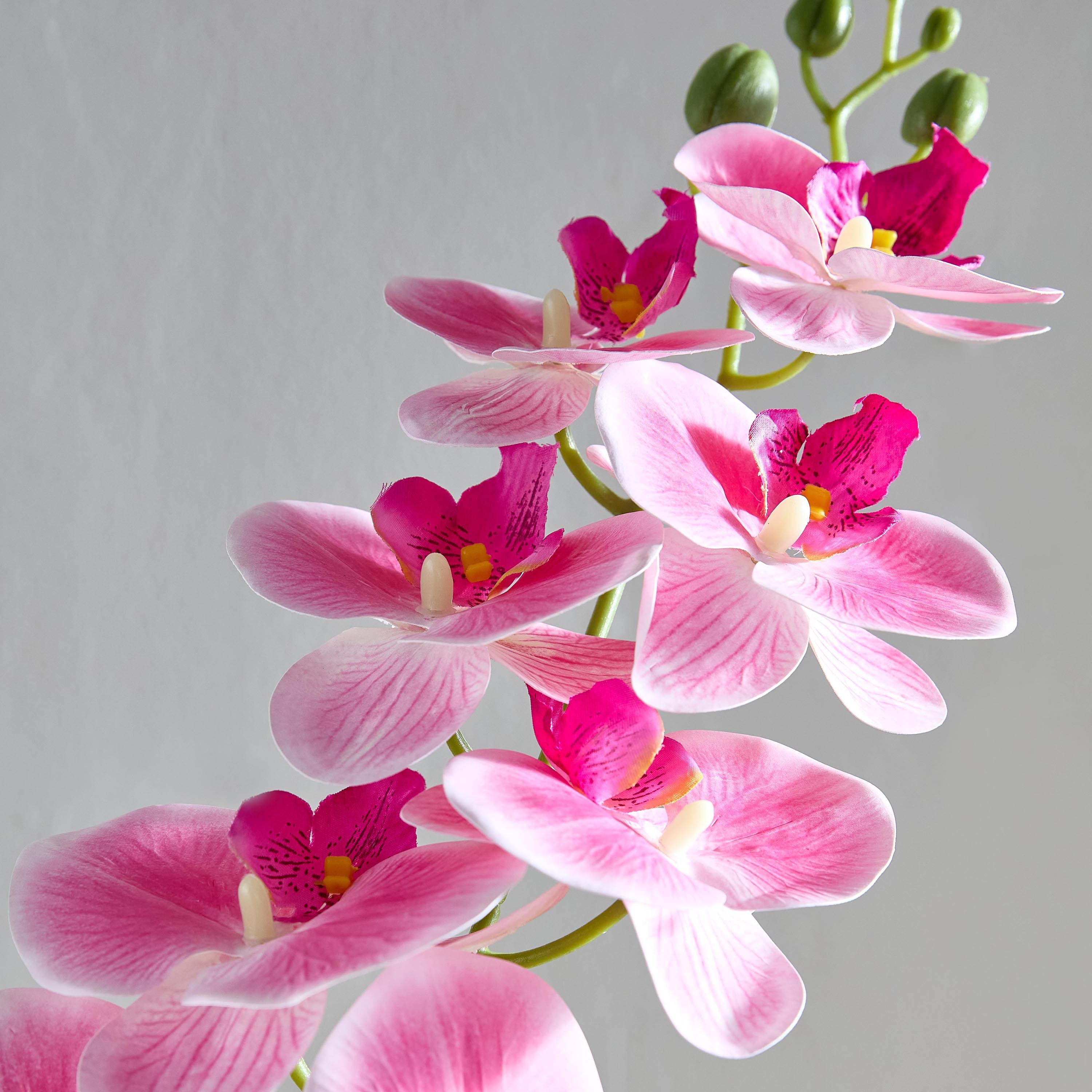 جذع زهرة أوركيد 9 رؤوس من ليدا - 95 سم-hbxdecorandfurnishings-homeaccessories-artificialflowersandplants-image-3