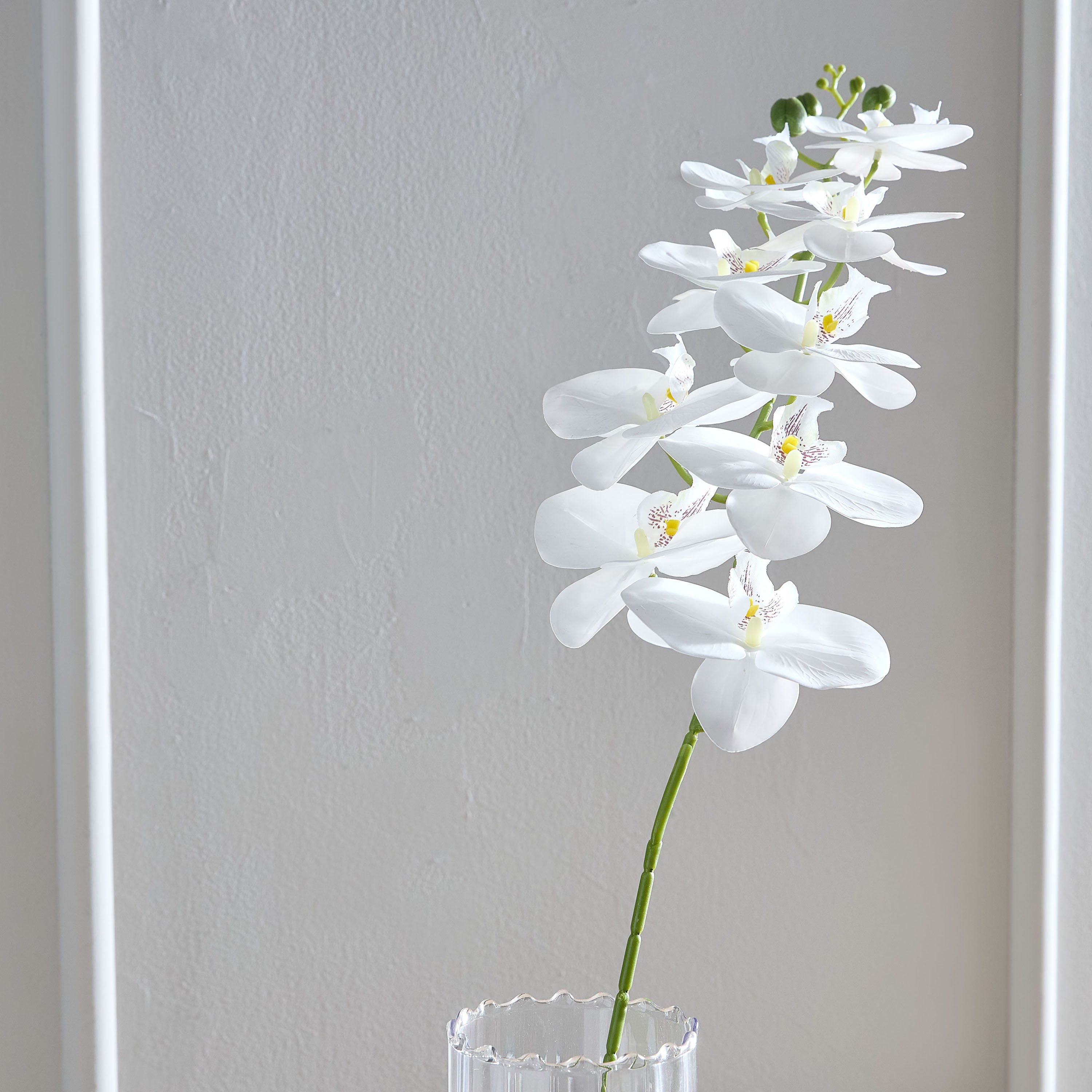 Lida Orchid 9-Heads Stem - 95 cm-hbxdecorandfurnishings-homeaccessories-artificialflowersandplants-image-2