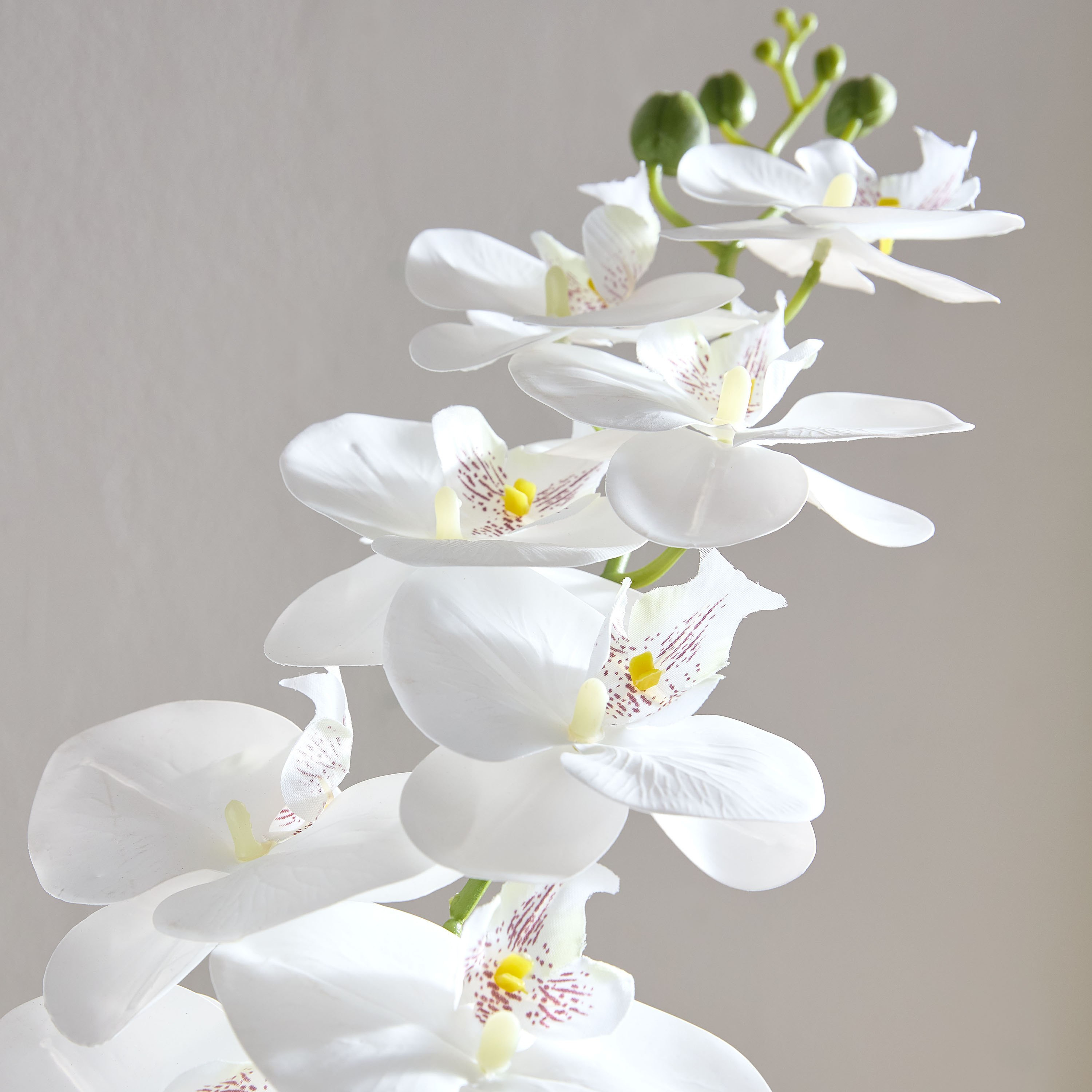 Lida Orchid 9-Heads Stem - 95 cm-hbxdecorandfurnishings-homeaccessories-artificialflowersandplants-image-3