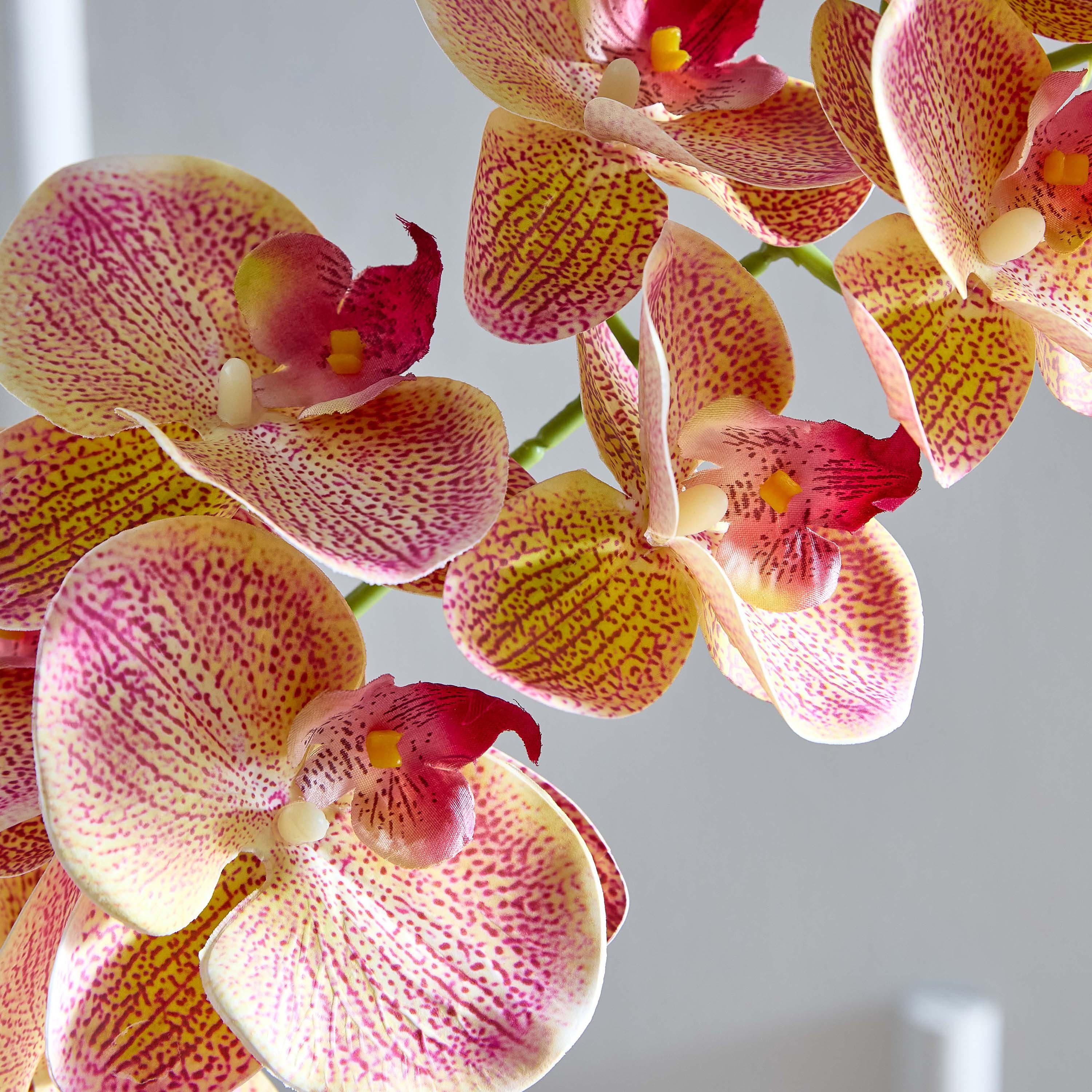 جذع زهرة أوركيد 9 رؤوس من ليدا - 95 سم-hbxdecorandfurnishings-homeaccessories-artificialflowersandplants-image-3