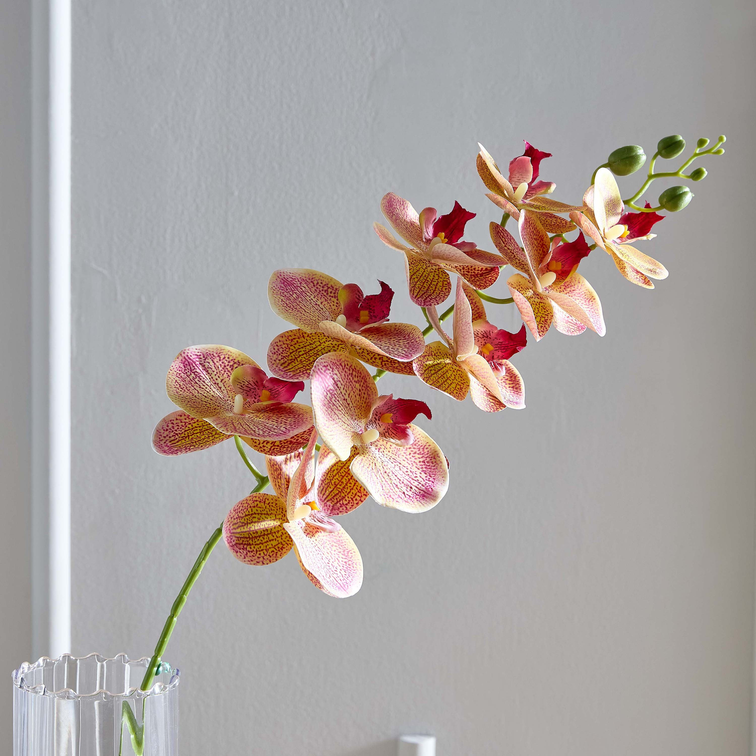 جذع زهرة أوركيد 9 رؤوس من ليدا - 95 سم-hbxdecorandfurnishings-homeaccessories-artificialflowersandplants-image-2