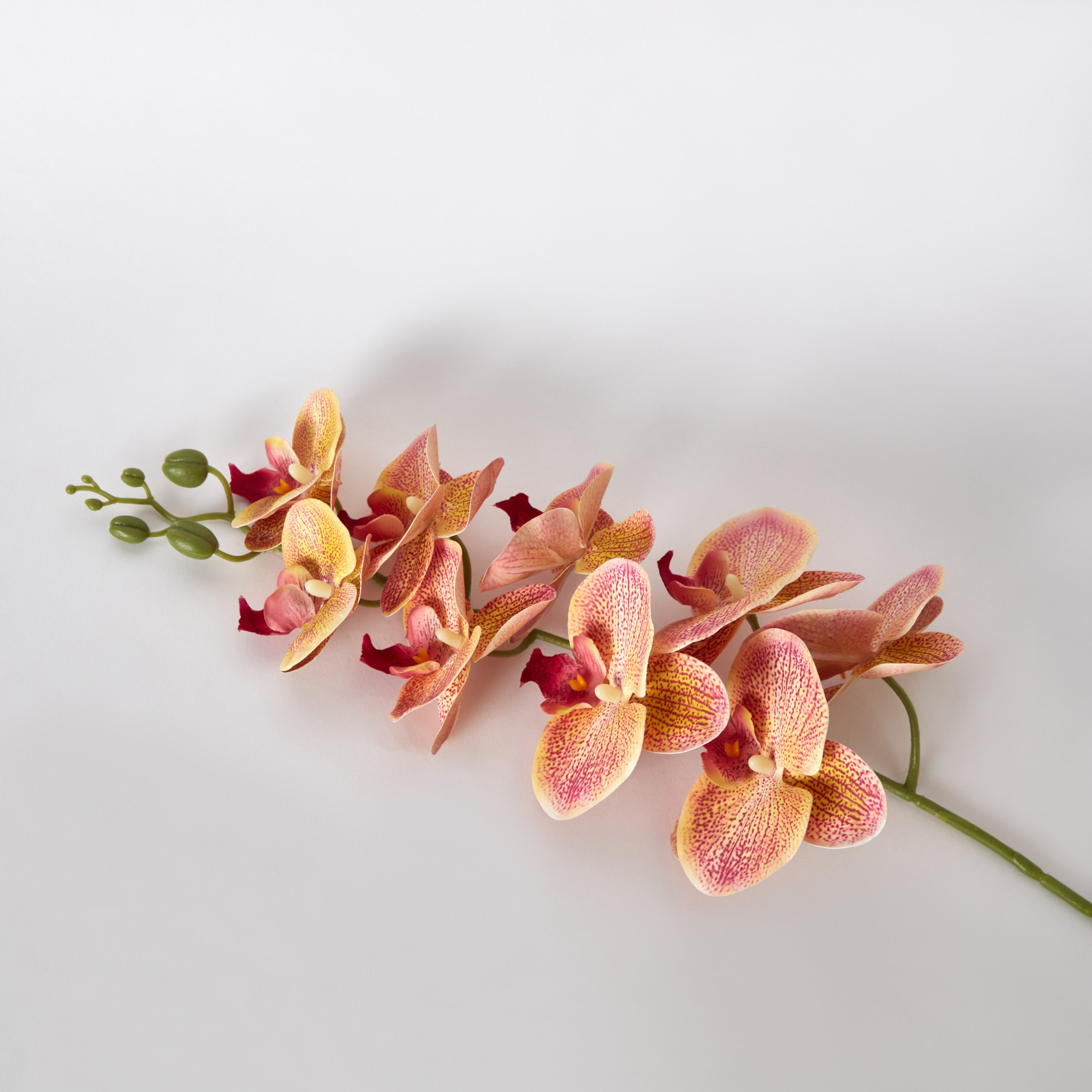 جذع زهرة أوركيد 9 رؤوس من ليدا - 95 سم-hbxdecorandfurnishings-homeaccessories-artificialflowersandplants-image-5