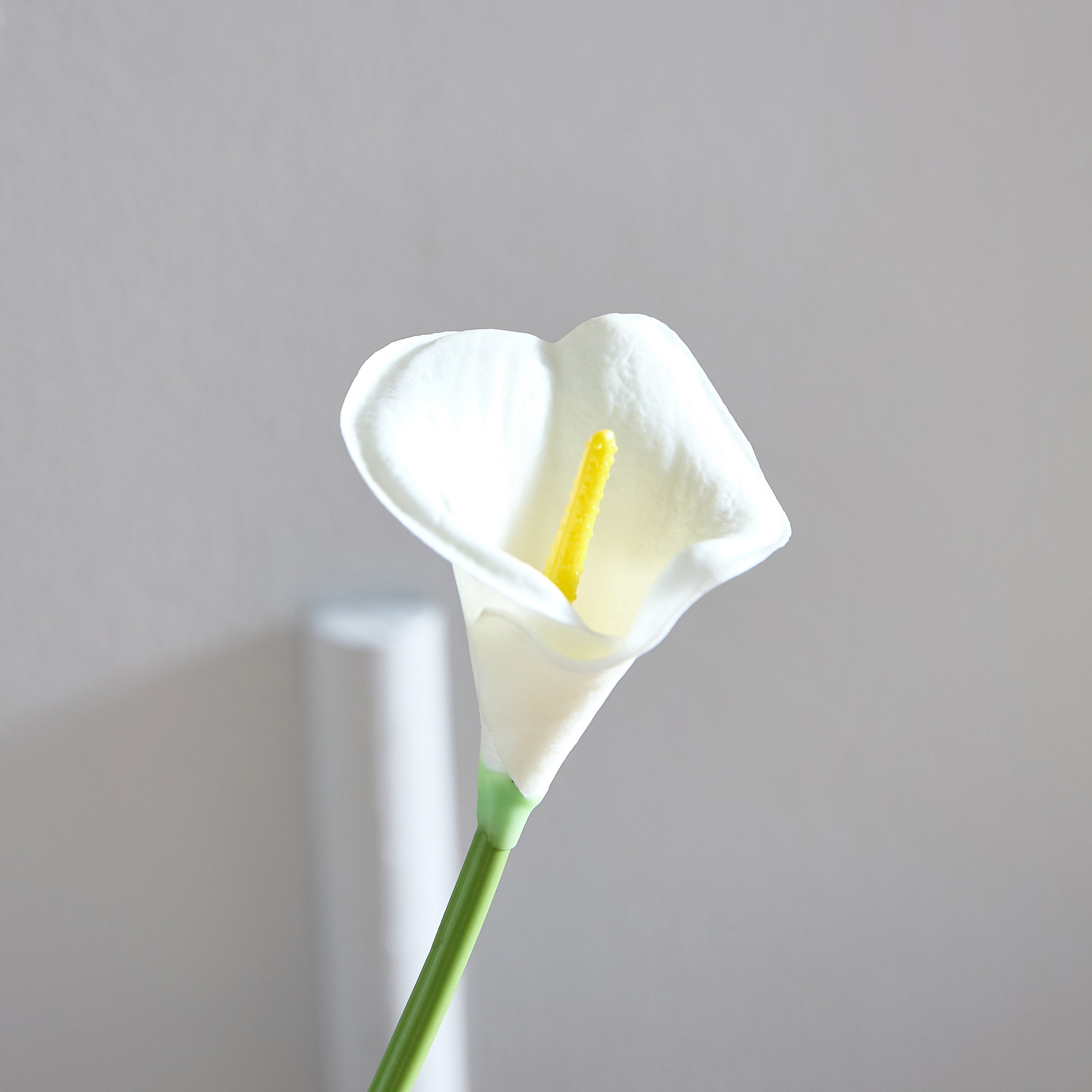 جذع زهرة ليلي من ليدا- 36 سم-hbxdecorandfurnishings-homeaccessories-artificialflowersandplants-image-3