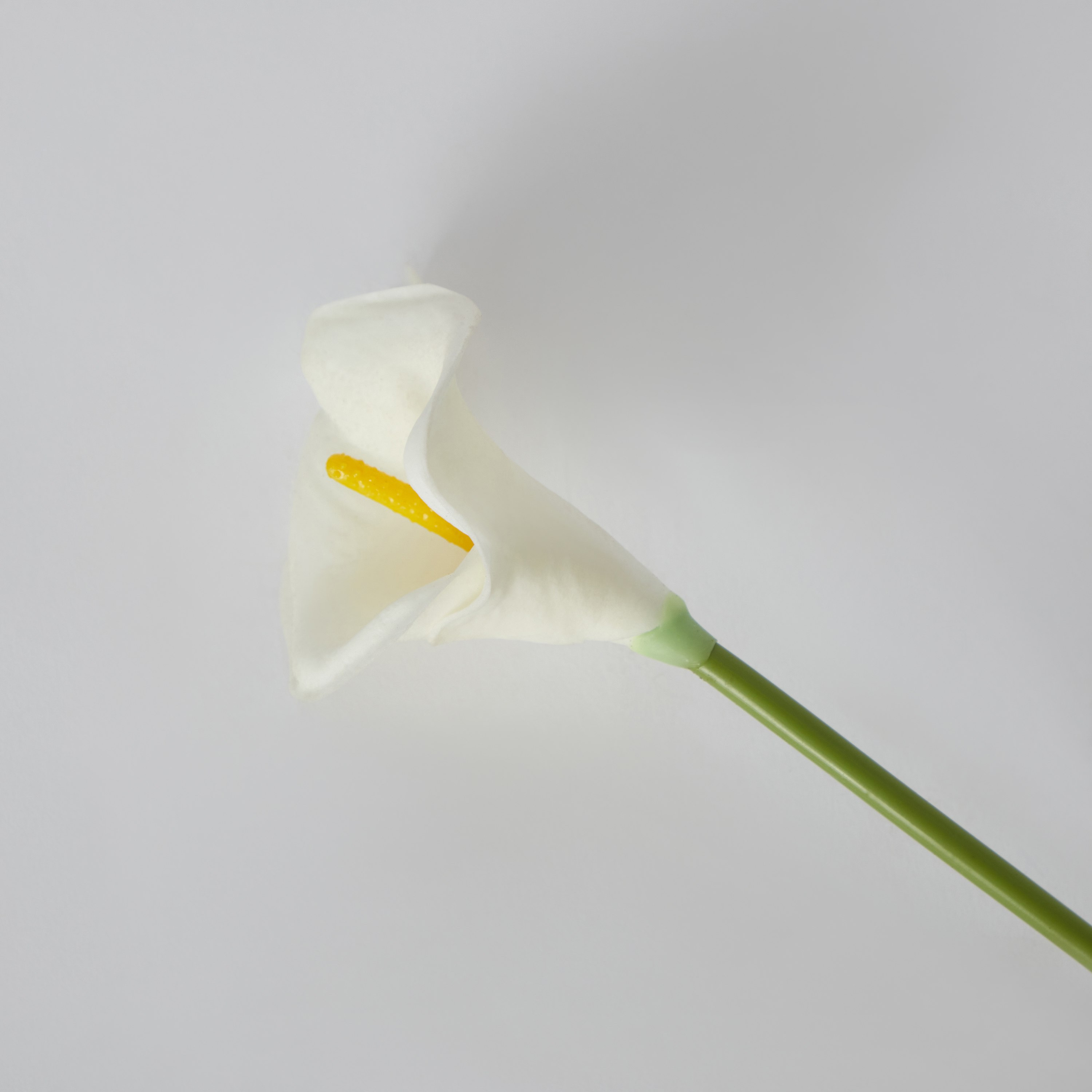 جذع زهرة ليلي من ليدا- 36 سم-hbxdecorandfurnishings-homeaccessories-artificialflowersandplants-image-5