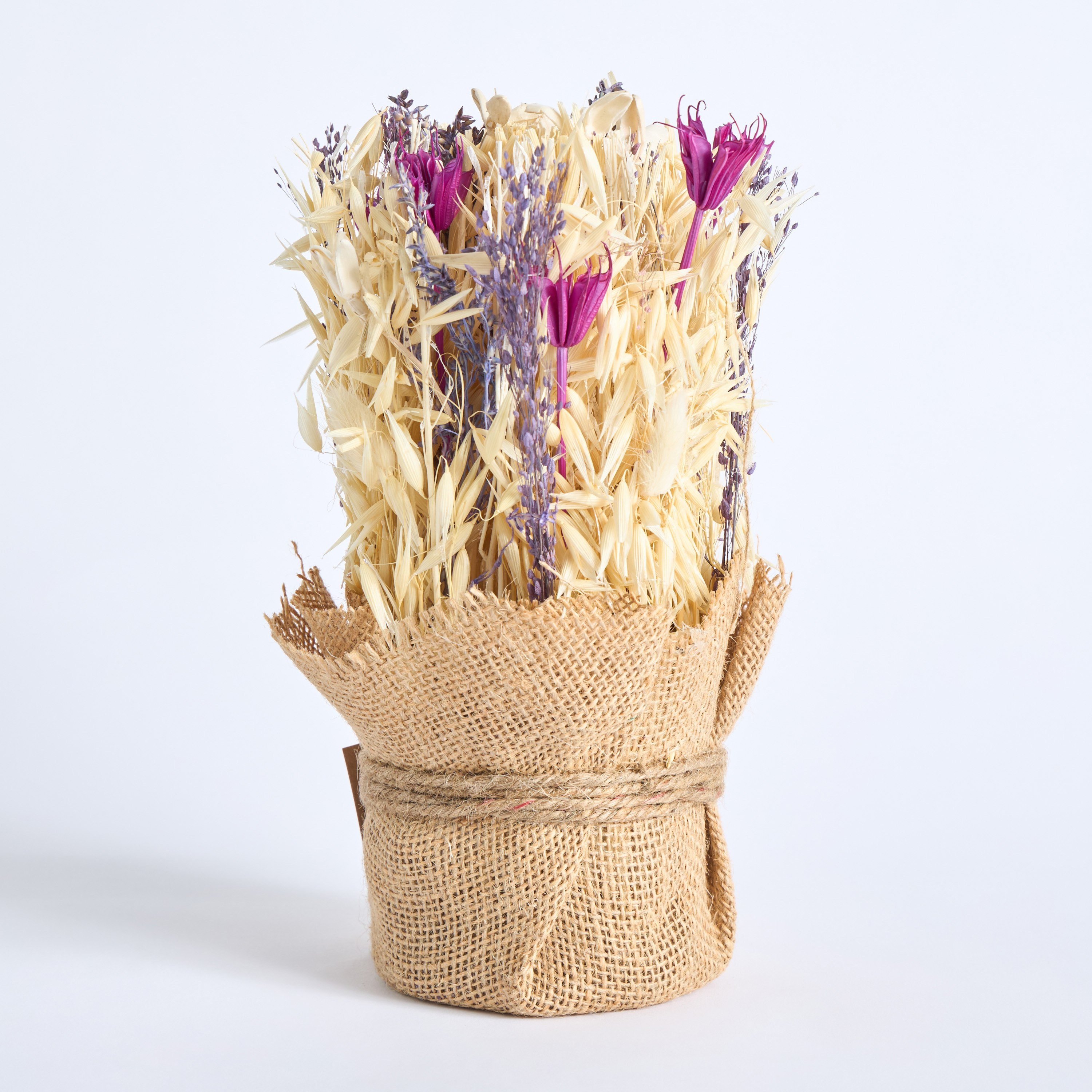 باقة زهور في أصيص من مايلي - 15 سم-hbxdecorandfurnishings-homeaccessories-artificialflowersandplants-image-4