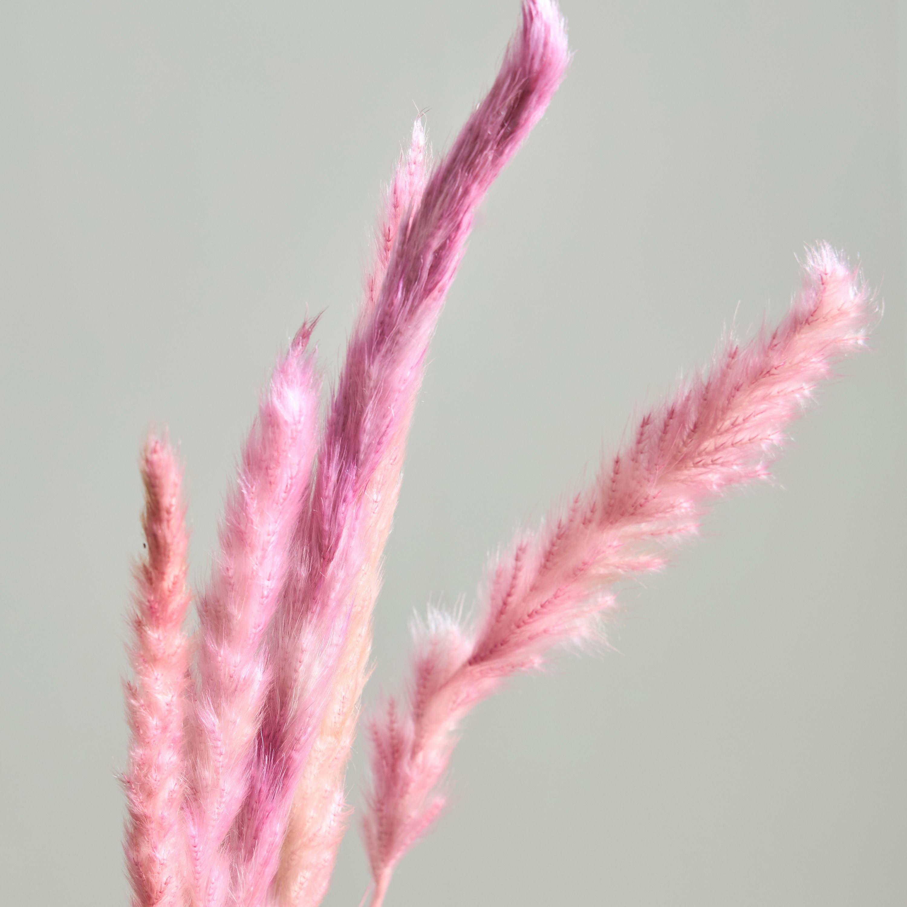 مجموعة أعواد ديكو 5 قطع من مايلي - 80 سم-hbxdecorandfurnishings-homeaccessories-artificialflowersandplants-image-2