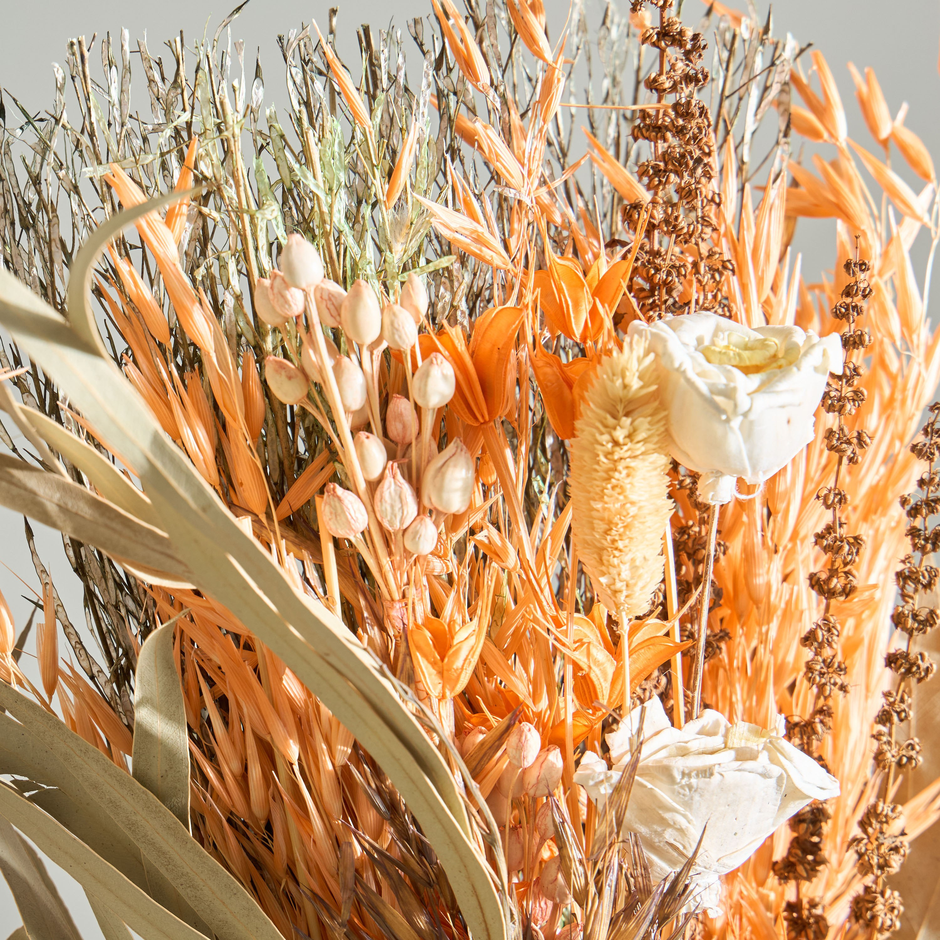 باقة زهور مجففة من مايلي-hbxdecorandfurnishings-homeaccessories-artificialflowersandplants-image-2