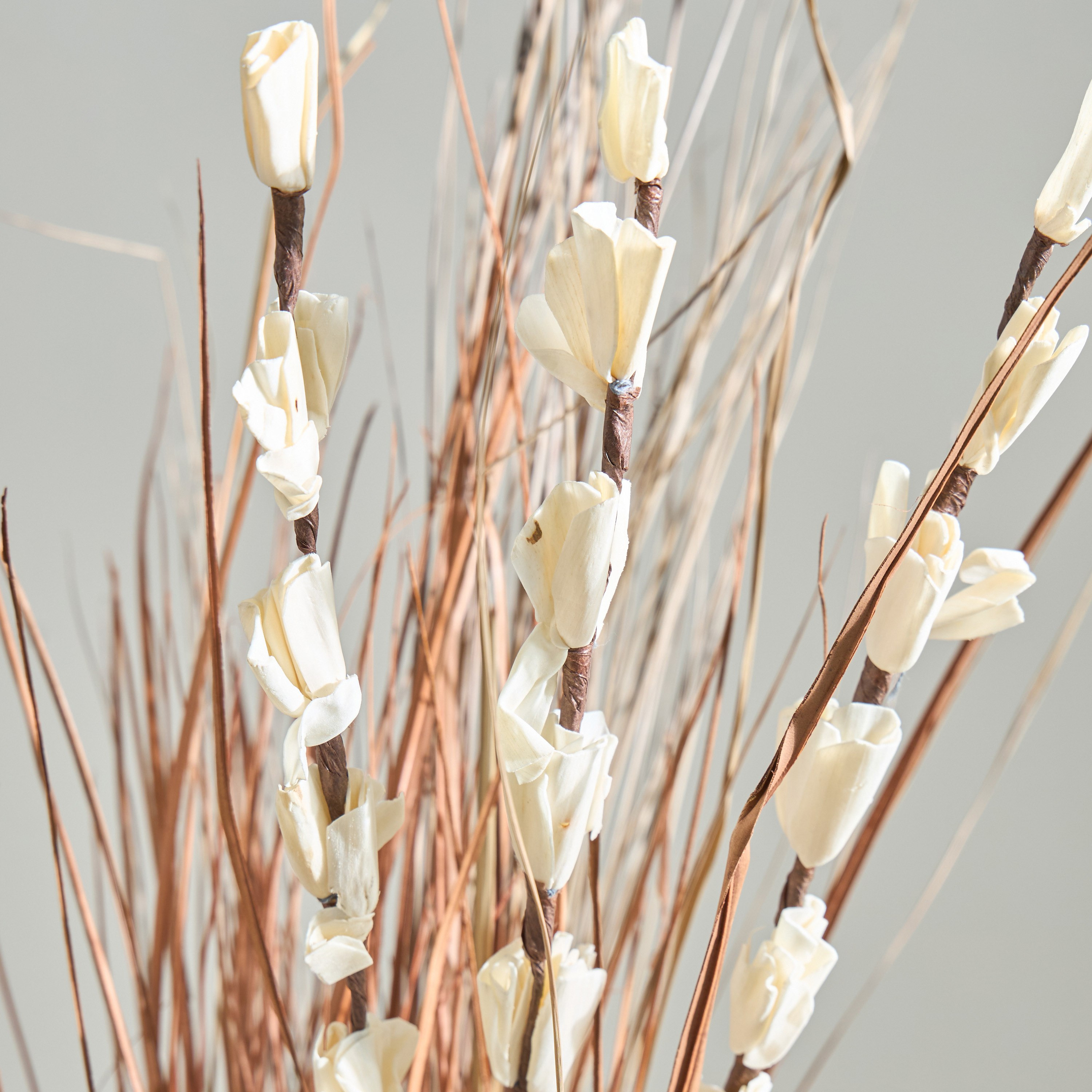 عصا مجففة طبيعية من مايلي - 100 سم-hbxdecorandfurnishings-homeaccessories-artificialflowersandplants-image-2