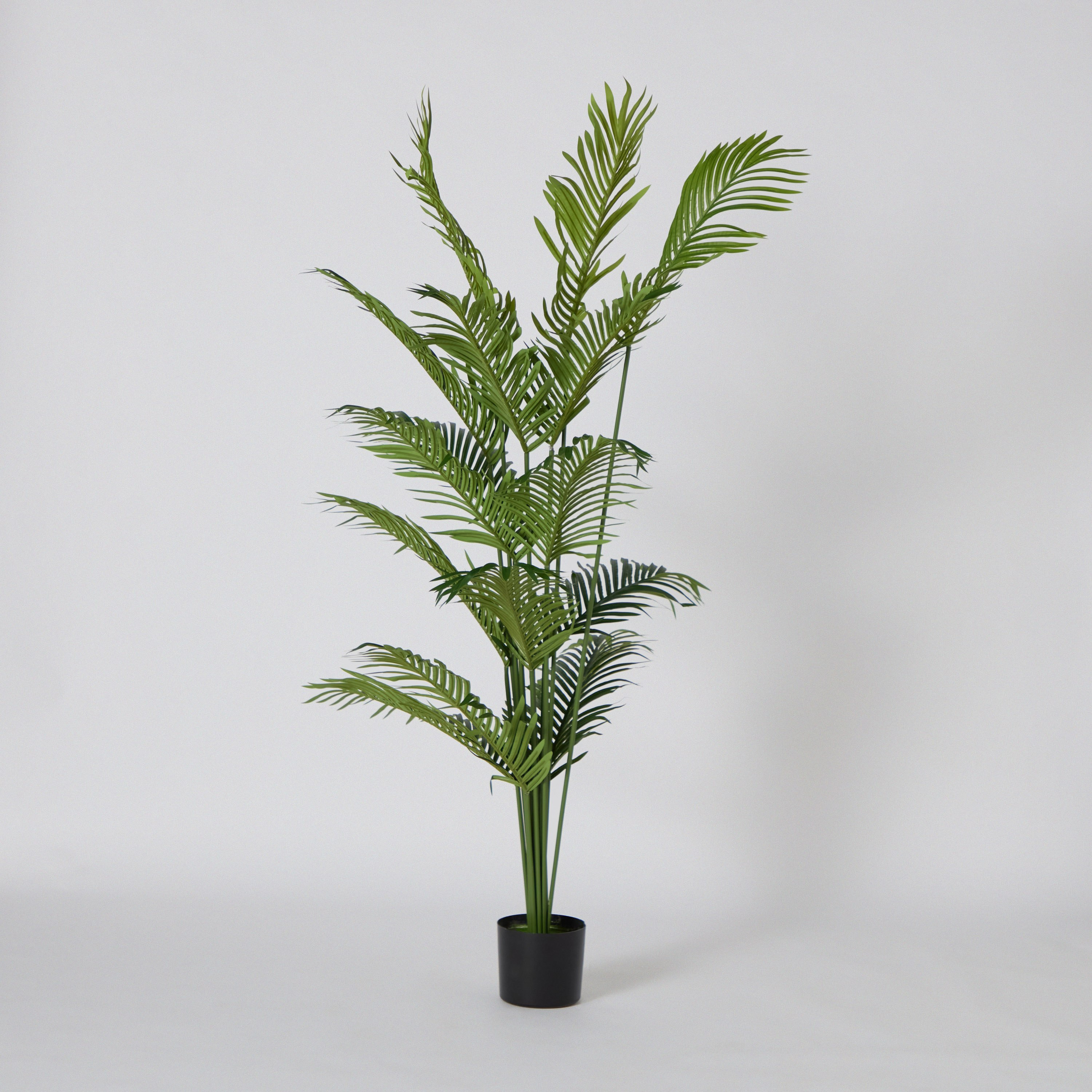 شجرة نخل صناعية من تيودورا - 150 سم-hbxdecorandfurnishings-homeaccessories-artificialflowersandplants-image-5