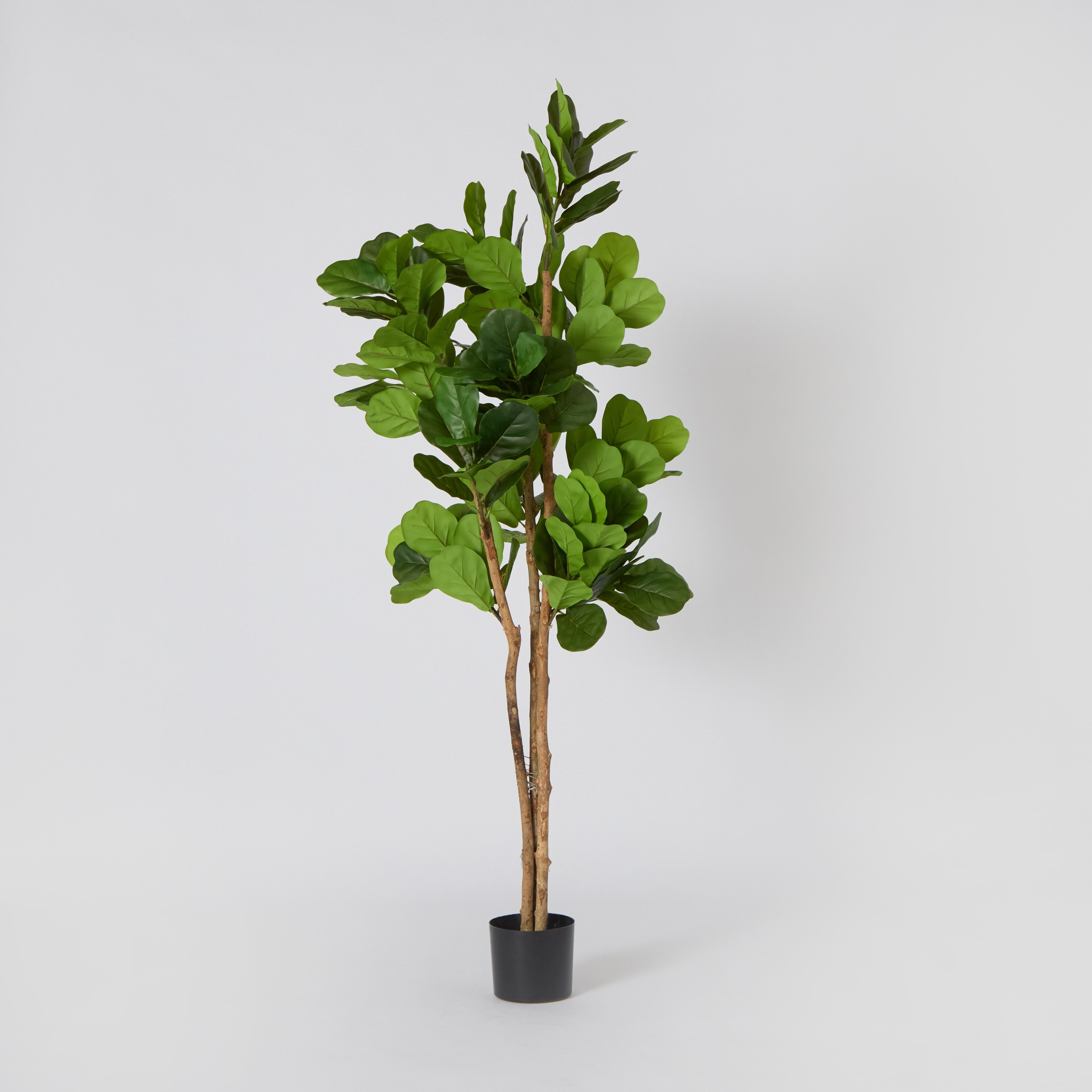 شجرة أوراق الكمان الصناعية من تيودور- 180 سم-hbxdecorandfurnishings-homeaccessories-artificialflowersandplants-image-5