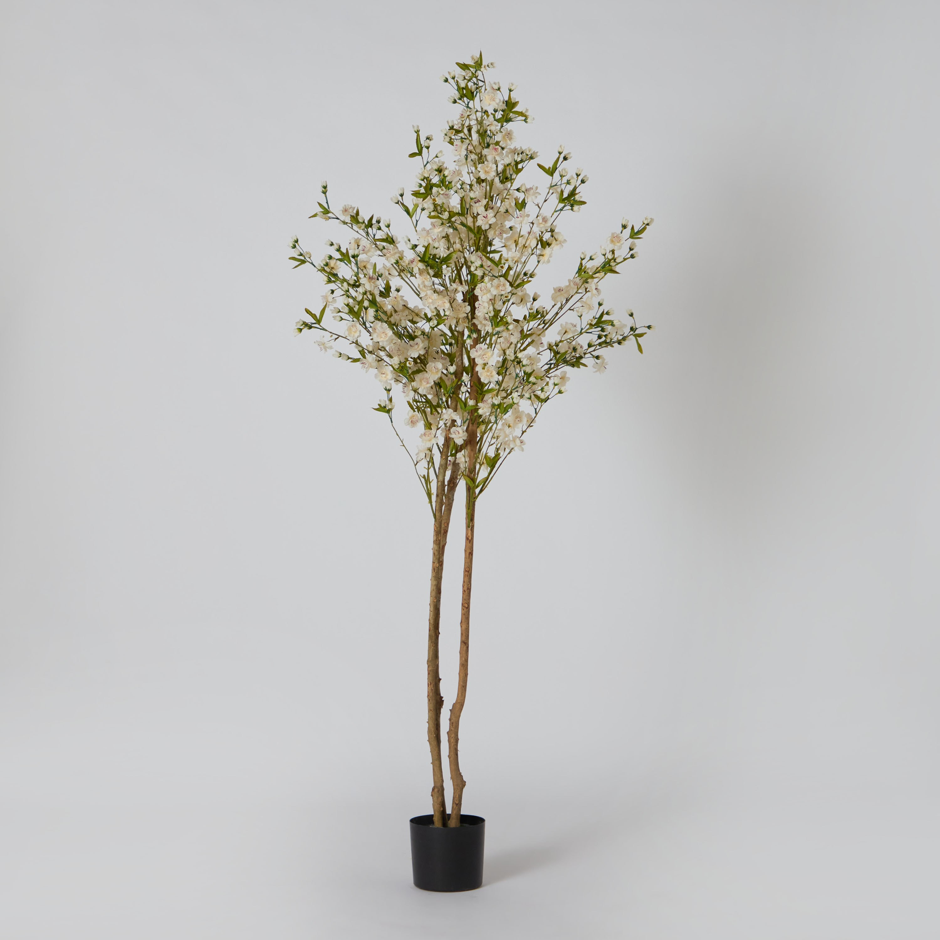 شجرة أزهار كرز صناعية من تيودورا - 180 سم-hbxdecorandfurnishings-homeaccessories-artificialflowersandplants-image-5