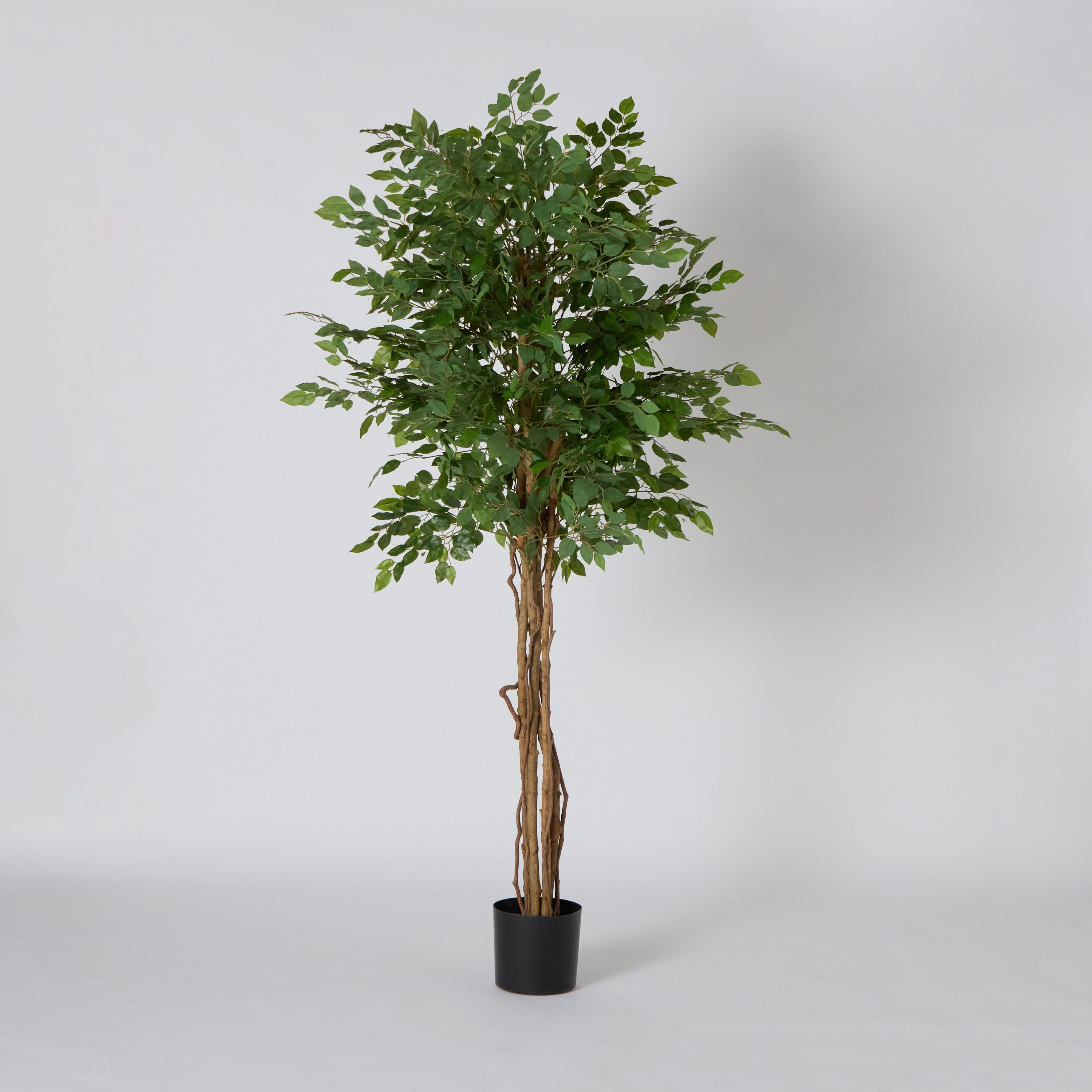 شجرة لبخ صناعيّة من تيودورا - 210 سم-hbxdecorandfurnishings-homeaccessories-artificialflowersandplants-image-5