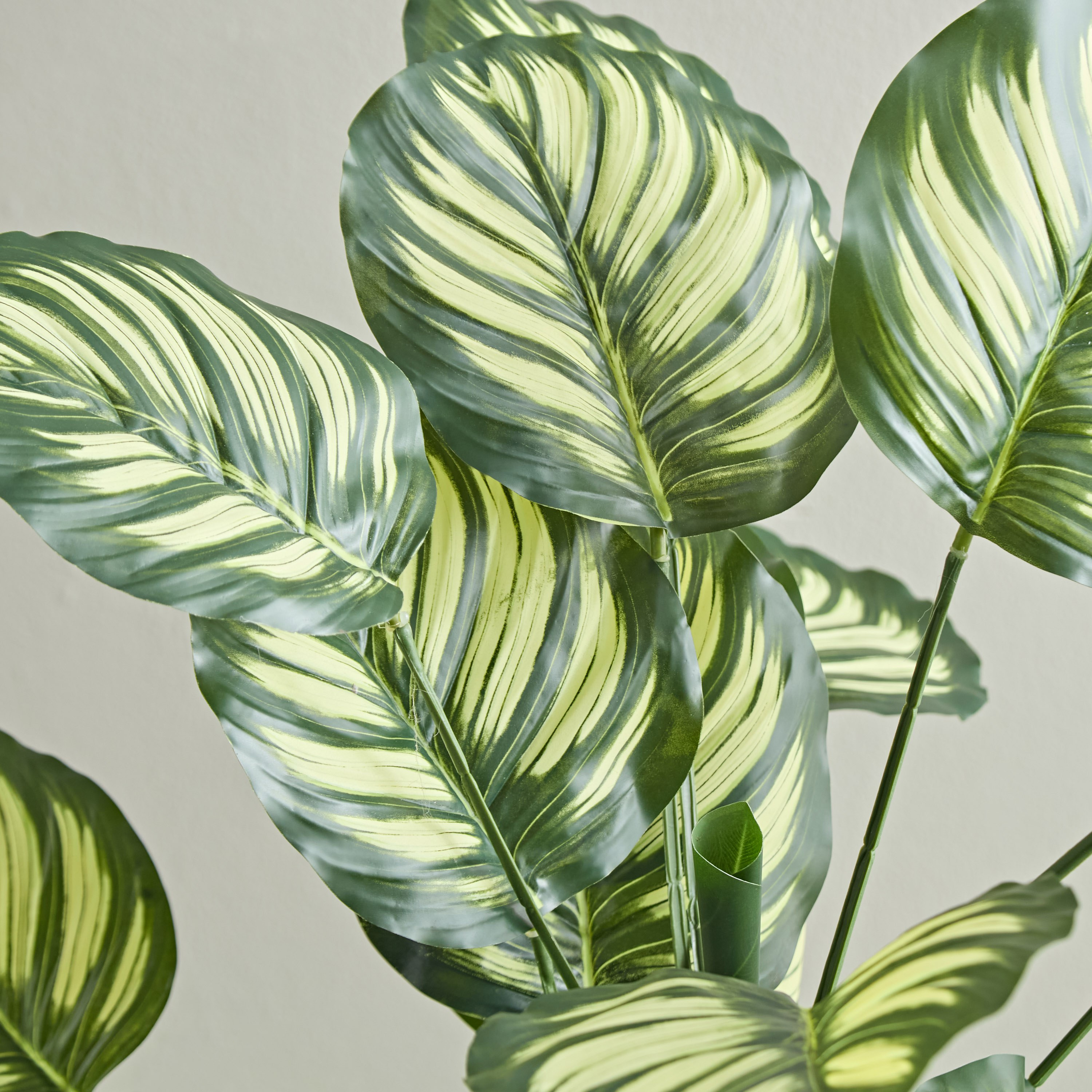 شجرة كالاتيا صناعيّة من تيودورا - 105 سم-hbxdecorandfurnishings-homeaccessories-artificialflowersandplants-image-2