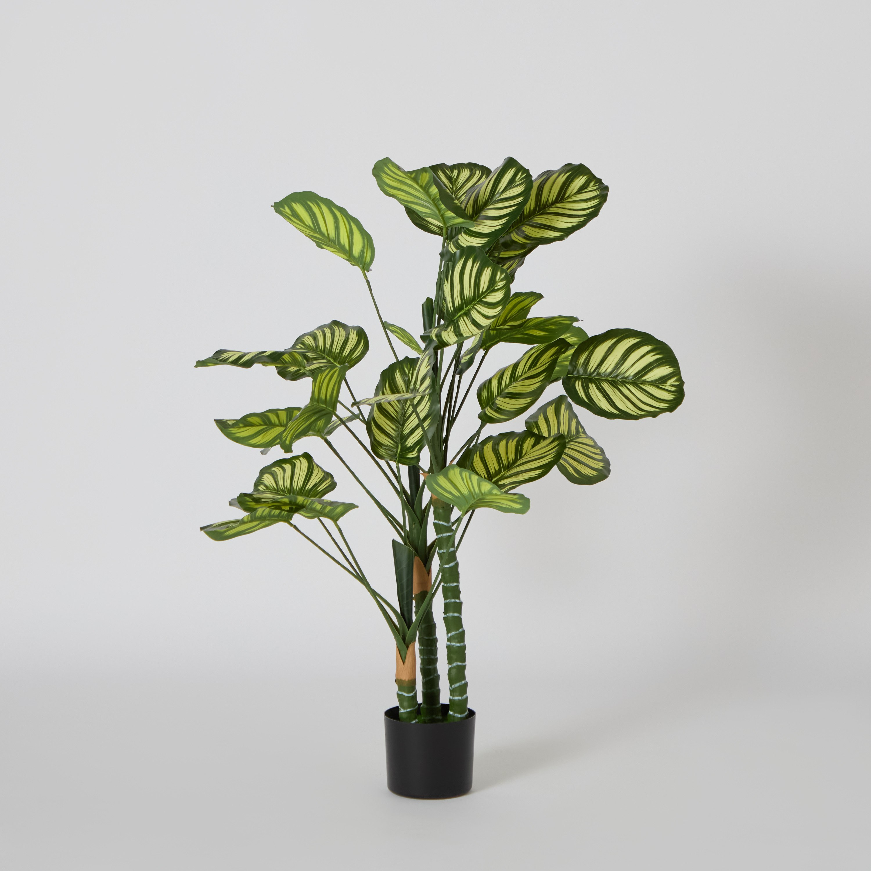شجرة كالاتيا صناعيّة من تيودورا - 105 سم-hbxdecorandfurnishings-homeaccessories-artificialflowersandplants-image-5