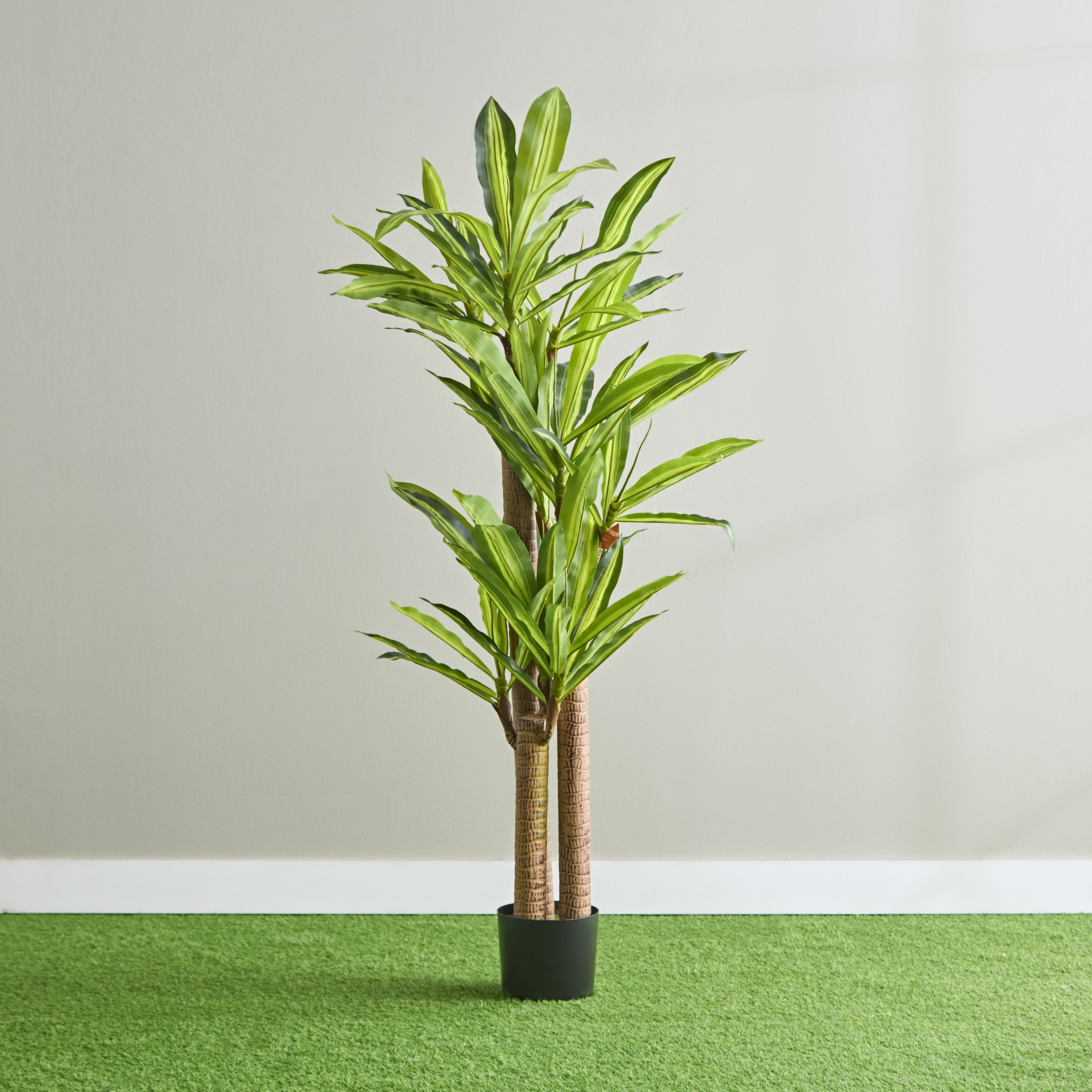 شجرة دراسينا صناعيّة من تيودورا - 150 سم-hbxdecorandfurnishings-homeaccessories-artificialflowersandplants-image-1