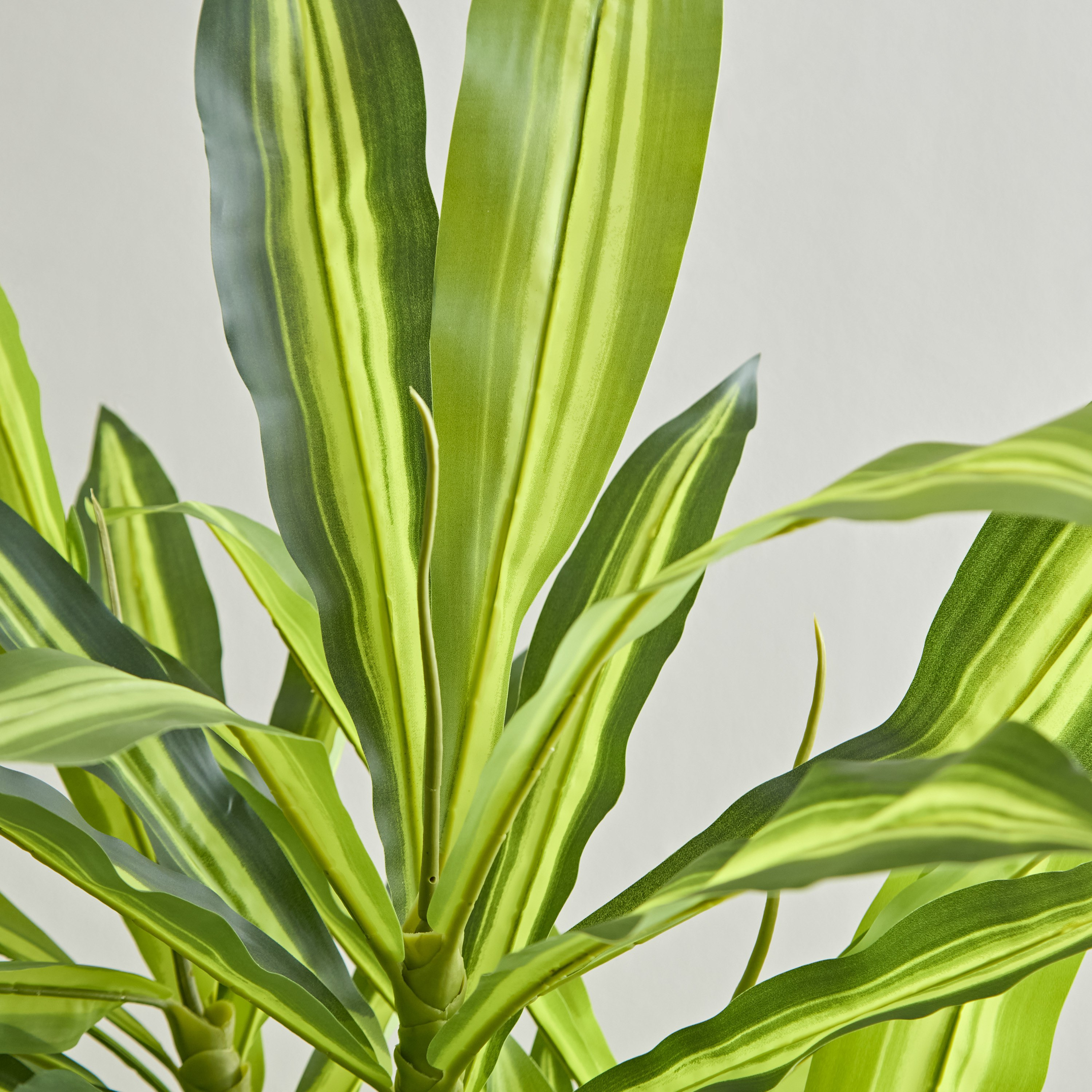 شجرة دراسينا صناعيّة من تيودورا - 150 سم-hbxdecorandfurnishings-homeaccessories-artificialflowersandplants-image-2