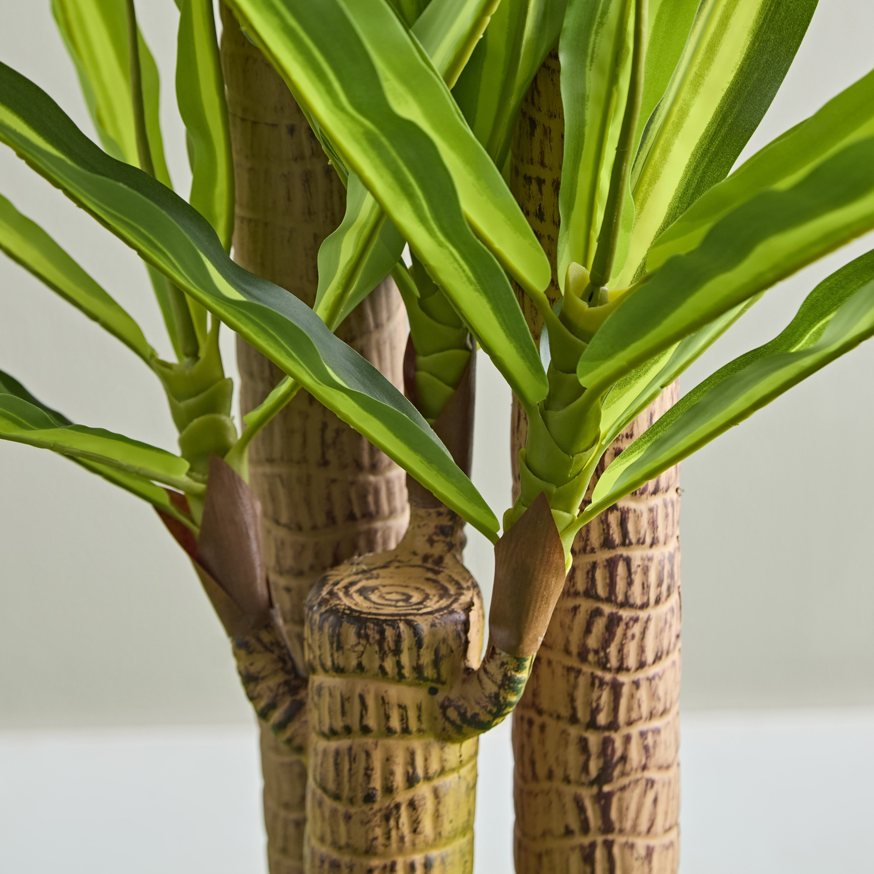 شجرة دراسينا صناعيّة من تيودورا - 150 سم-hbxdecorandfurnishings-homeaccessories-artificialflowersandplants-image-3