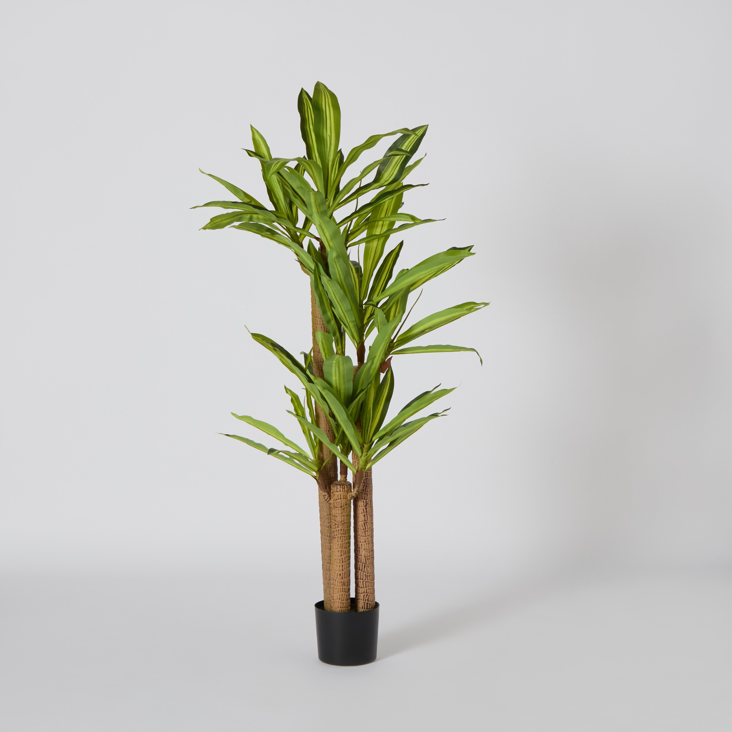 شجرة دراسينا صناعيّة من تيودورا - 150 سم-hbxdecorandfurnishings-homeaccessories-artificialflowersandplants-image-6