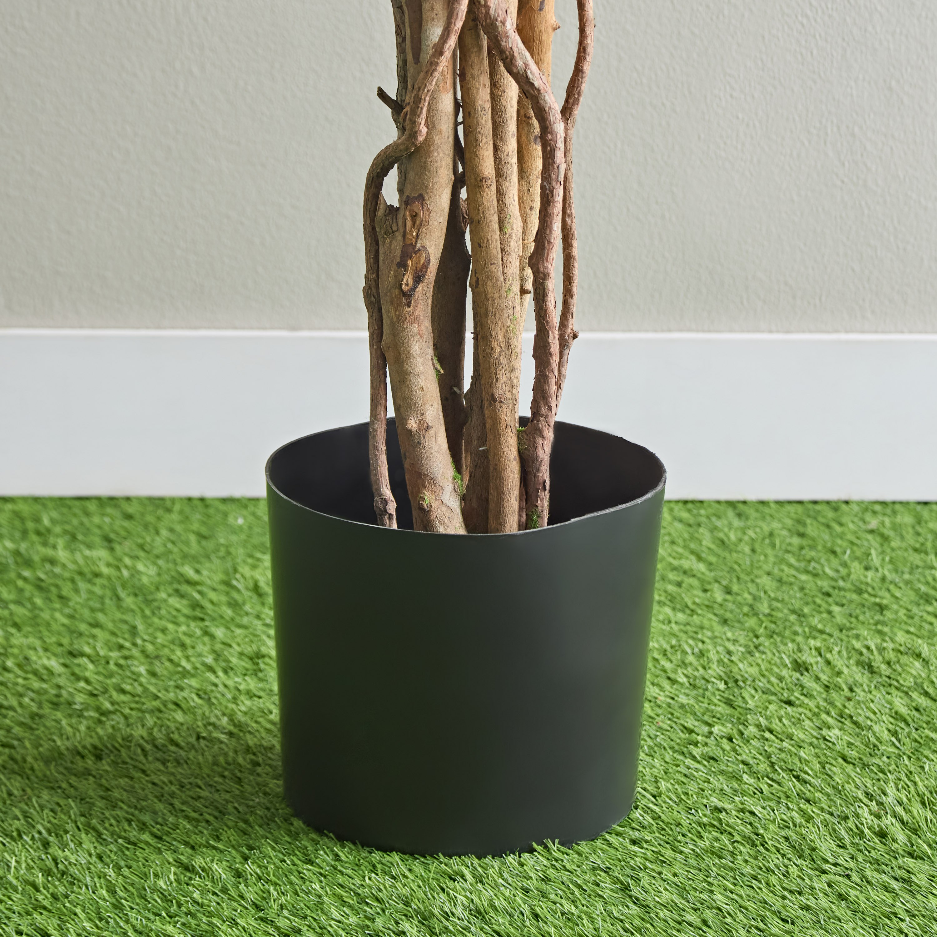 Teodora Capensia Tree - 180 cm-hbxdecorandfurnishings-homeaccessories-artificialflowersandplants-image-3