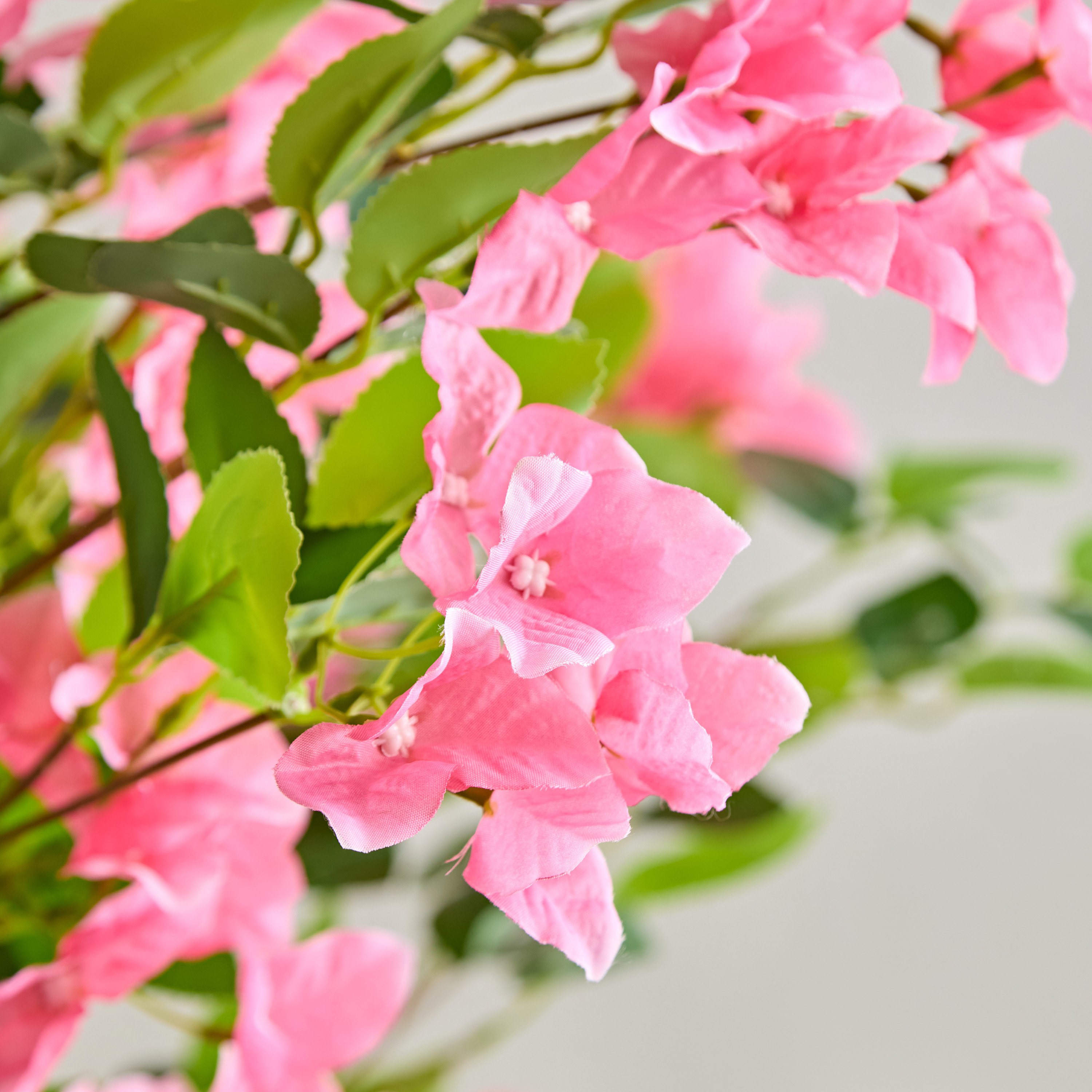 شجرة من تيودورا - 180 سم-hbxdecorandfurnishings-homeaccessories-artificialflowersandplants-image-2