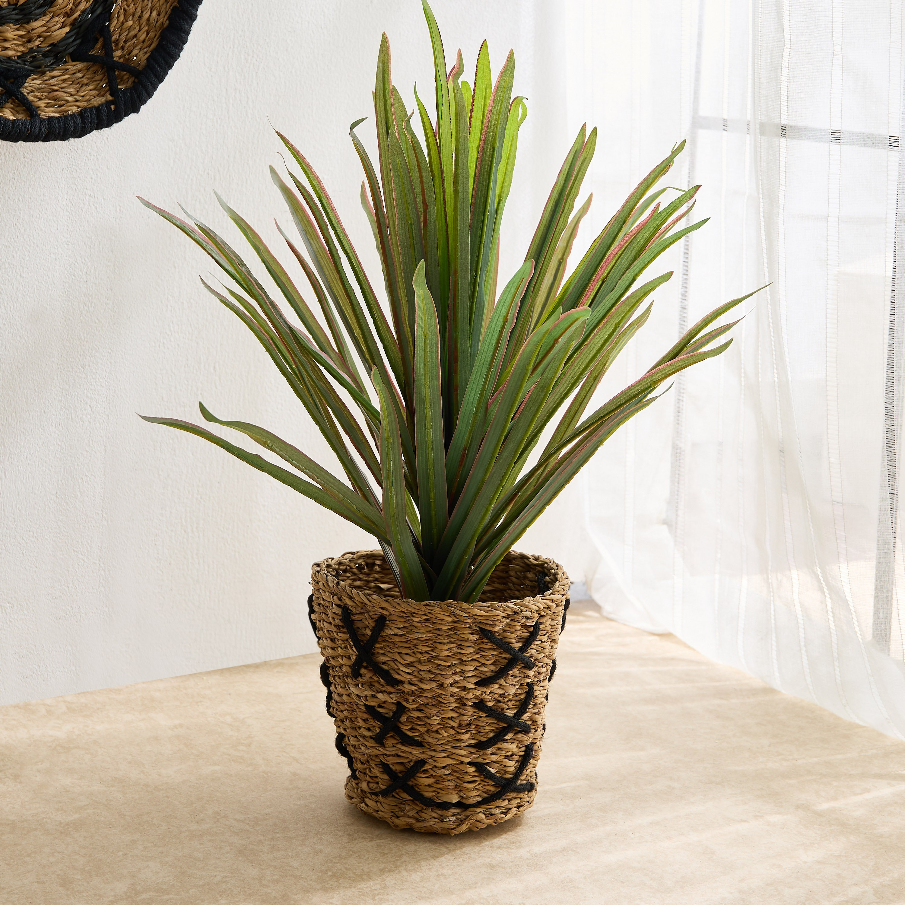إناء زرع مخروطي من أعشاب البحر من ناتشورولوم - 25x25x20 سم-hbxhomeware-hbxdecorandfurnishings-image-1