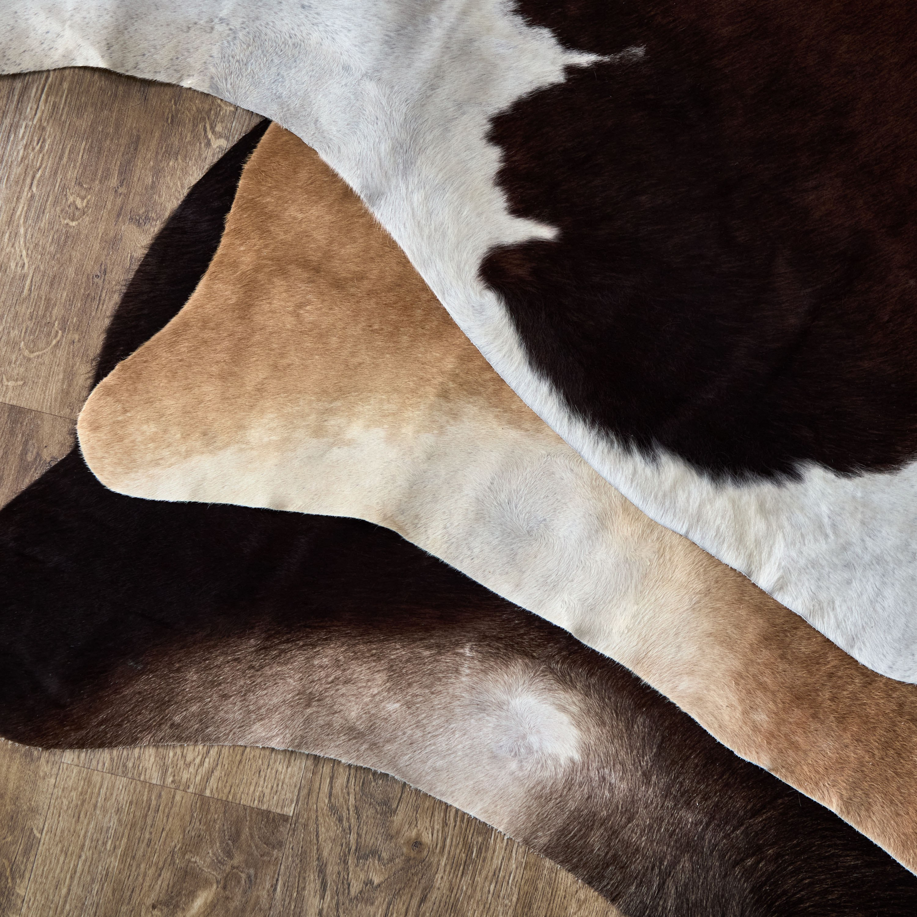 Erin Large Real Cow Hide - 170x200 to 200x220 cm-hbxdecorandfurnishings-floorcoverings-rugs-image-4