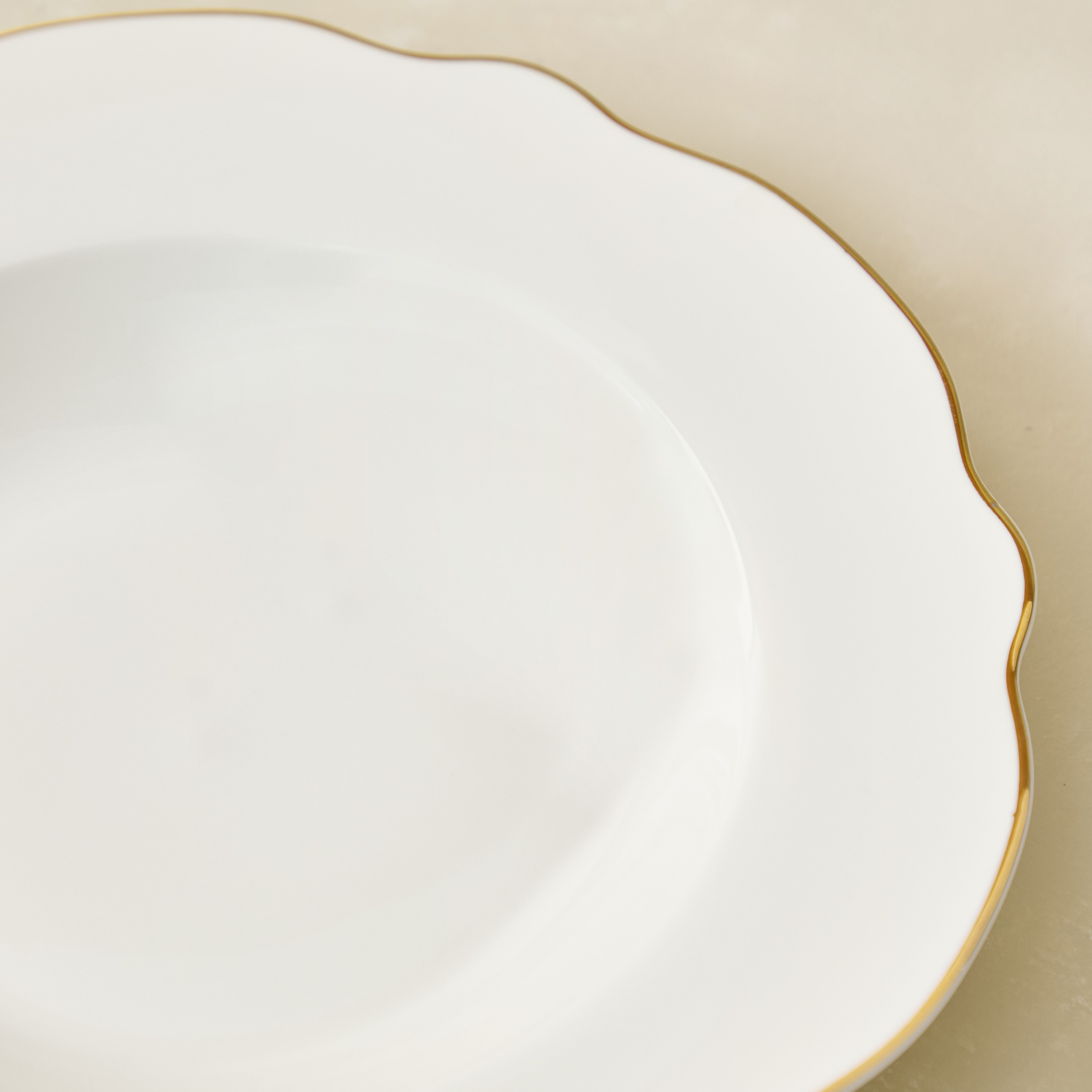 Ivory New Bone China Rim Soup Plate - 21 cm-hbxdecorandfurnishings-tabletop-crockery-image-3
