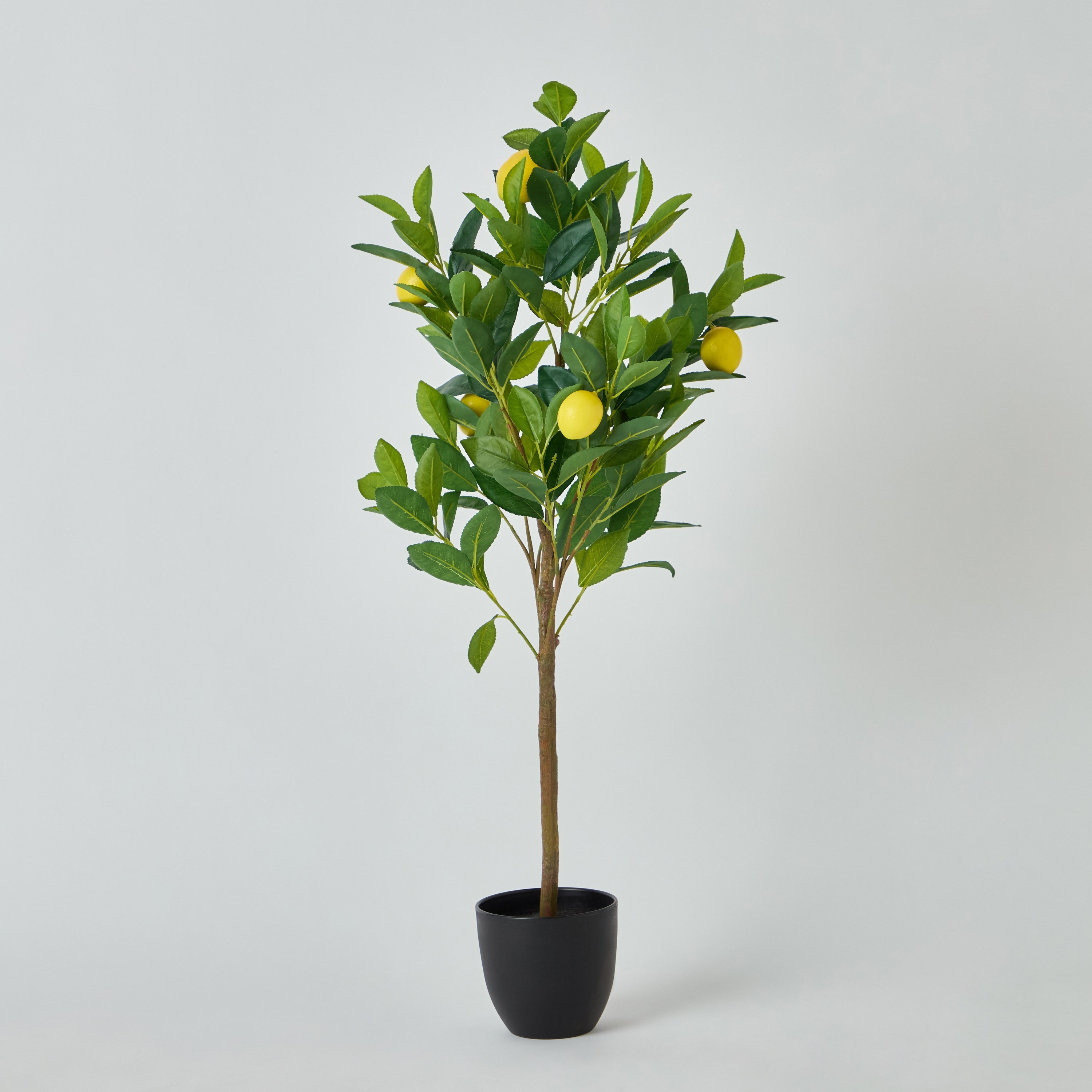 شجرة ليمون مع وعاء من أليسيا - 45x39x90 سم-PROMO_HB_AE_B1G1_250925-image-5