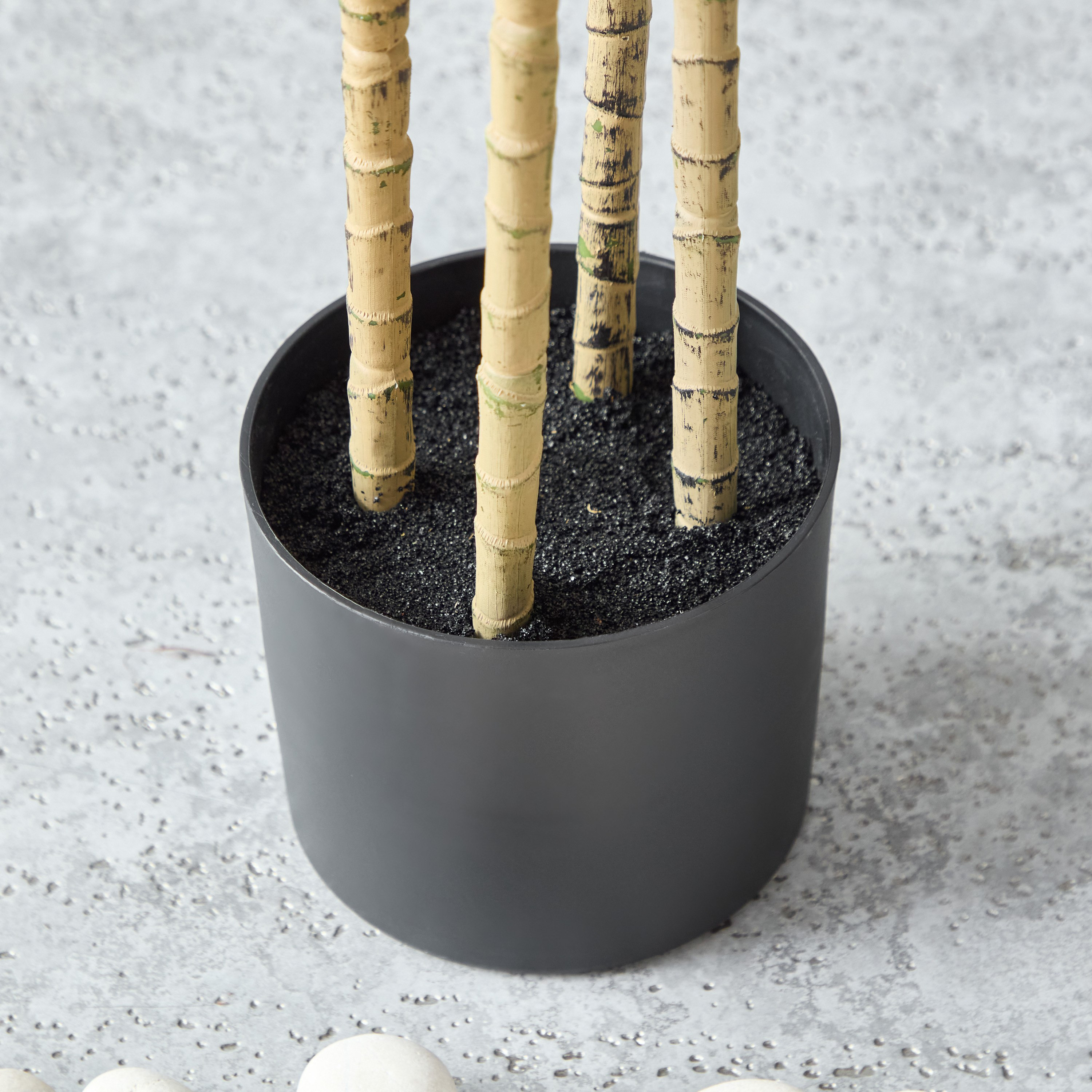 Alicia Dracaena Tree with Pot - 60x63x163 cm-PROMO_HB_AE_B1G1_250925-image-3