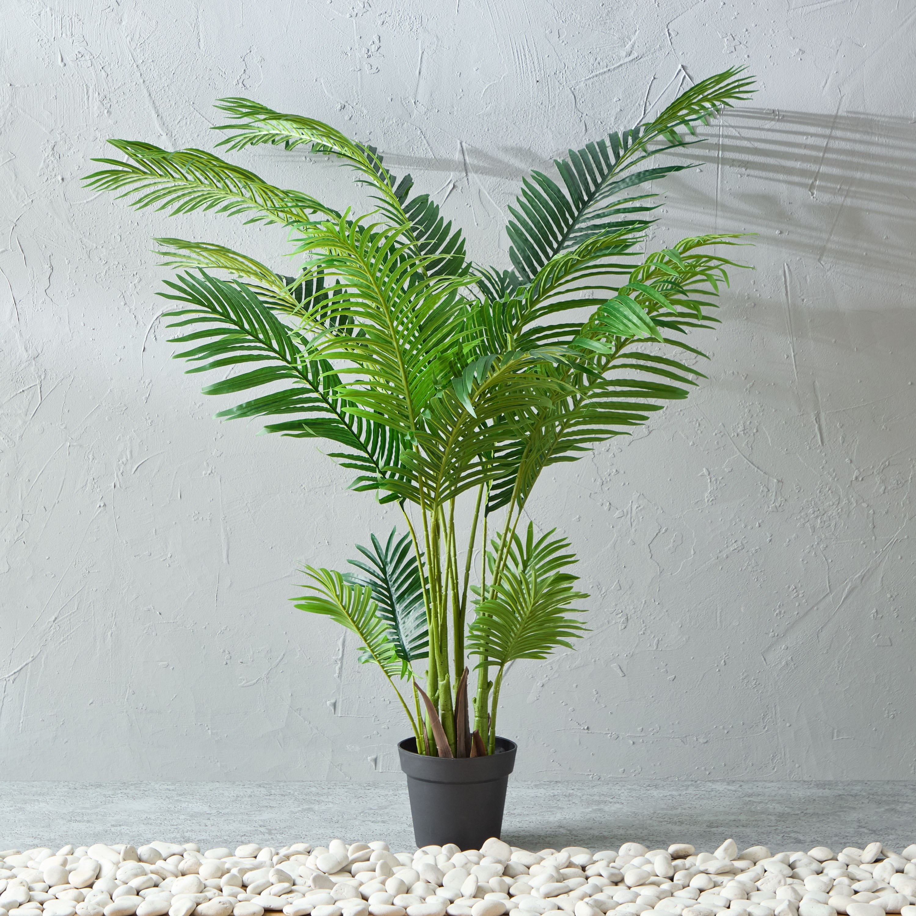 نخلة أريكا في إناء زرع من أليسيا- 150 سم-hbxhomeware-hbxdecorandfurnishings-image-1
