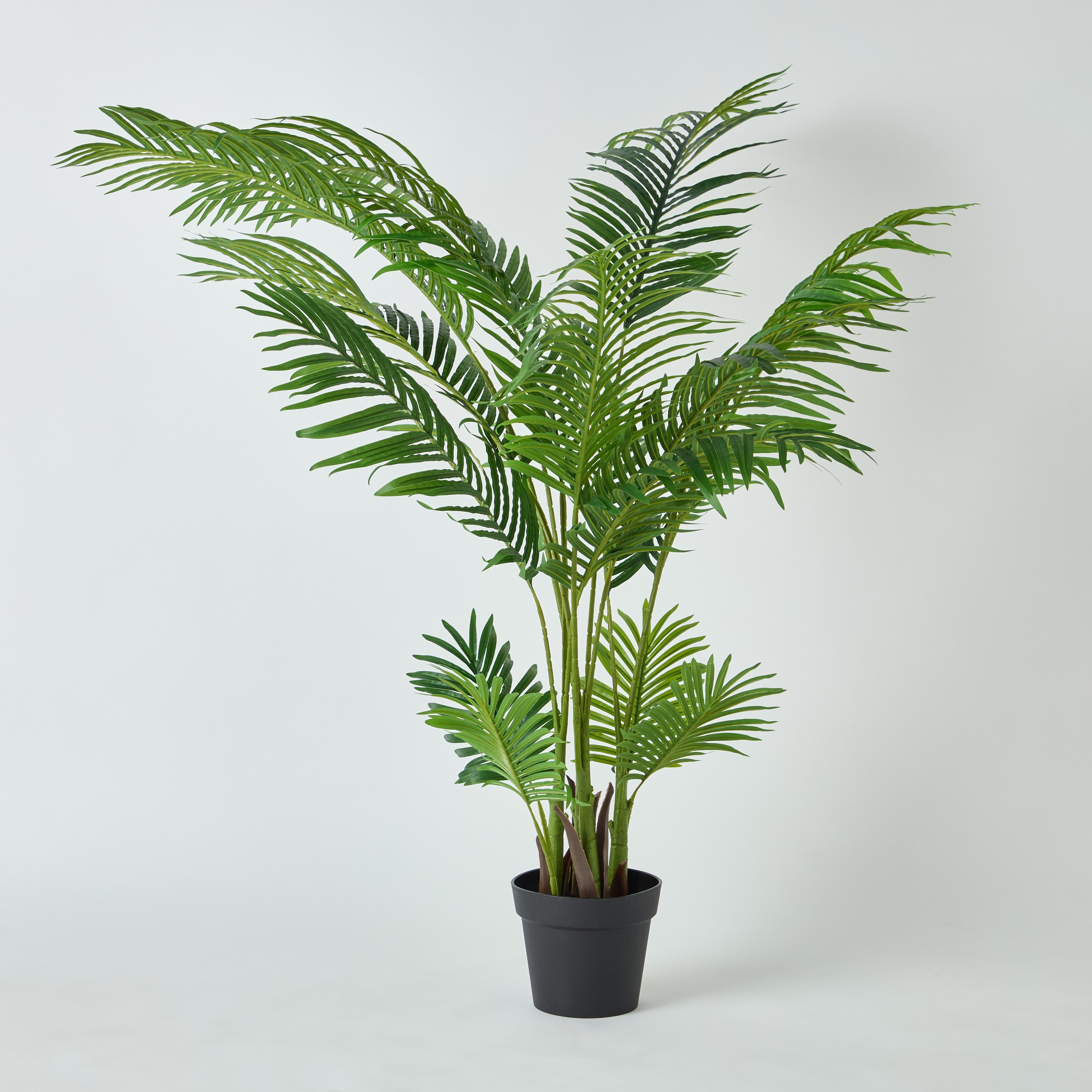 نخلة أريكا في إناء زرع من أليسيا- 150 سم-hbxhomeware-hbxdecorandfurnishings-image-5