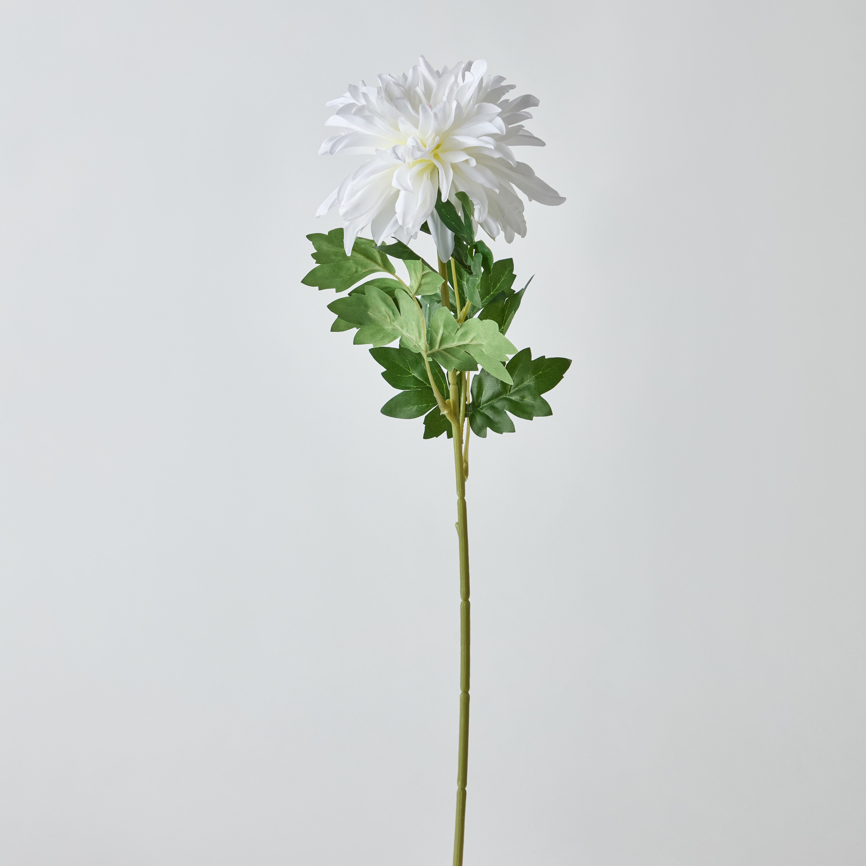 باقة زهرة داليا 3 أوراق من فلوريت - 65 سم-hbxdecorandfurnishings-homeaccessories-artificialflowersandplants-image-5