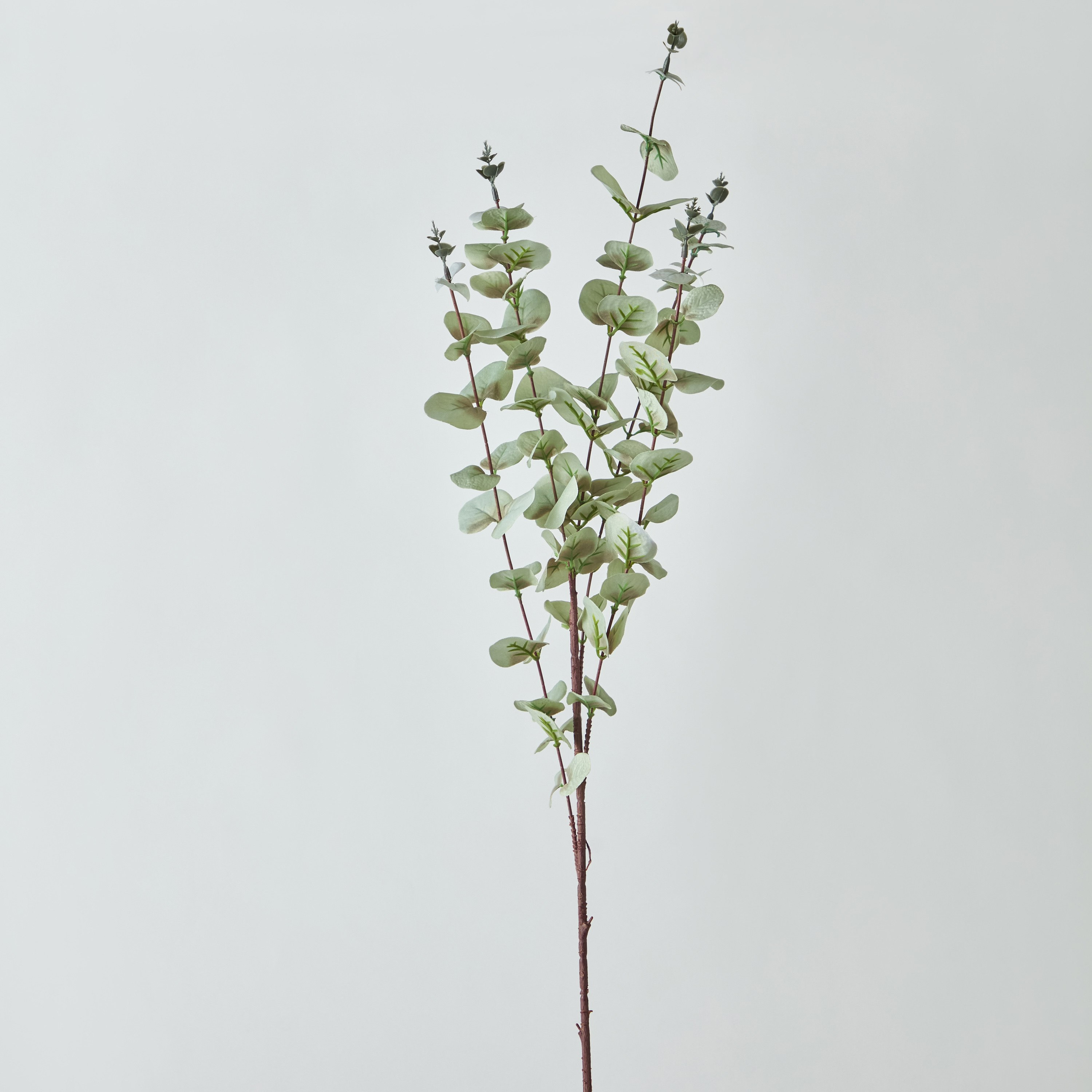 زهرة أوكالبتوس من فلوريت - 90 سم-hbxdecorandfurnishings-homeaccessories-artificialflowersandplants-image-5