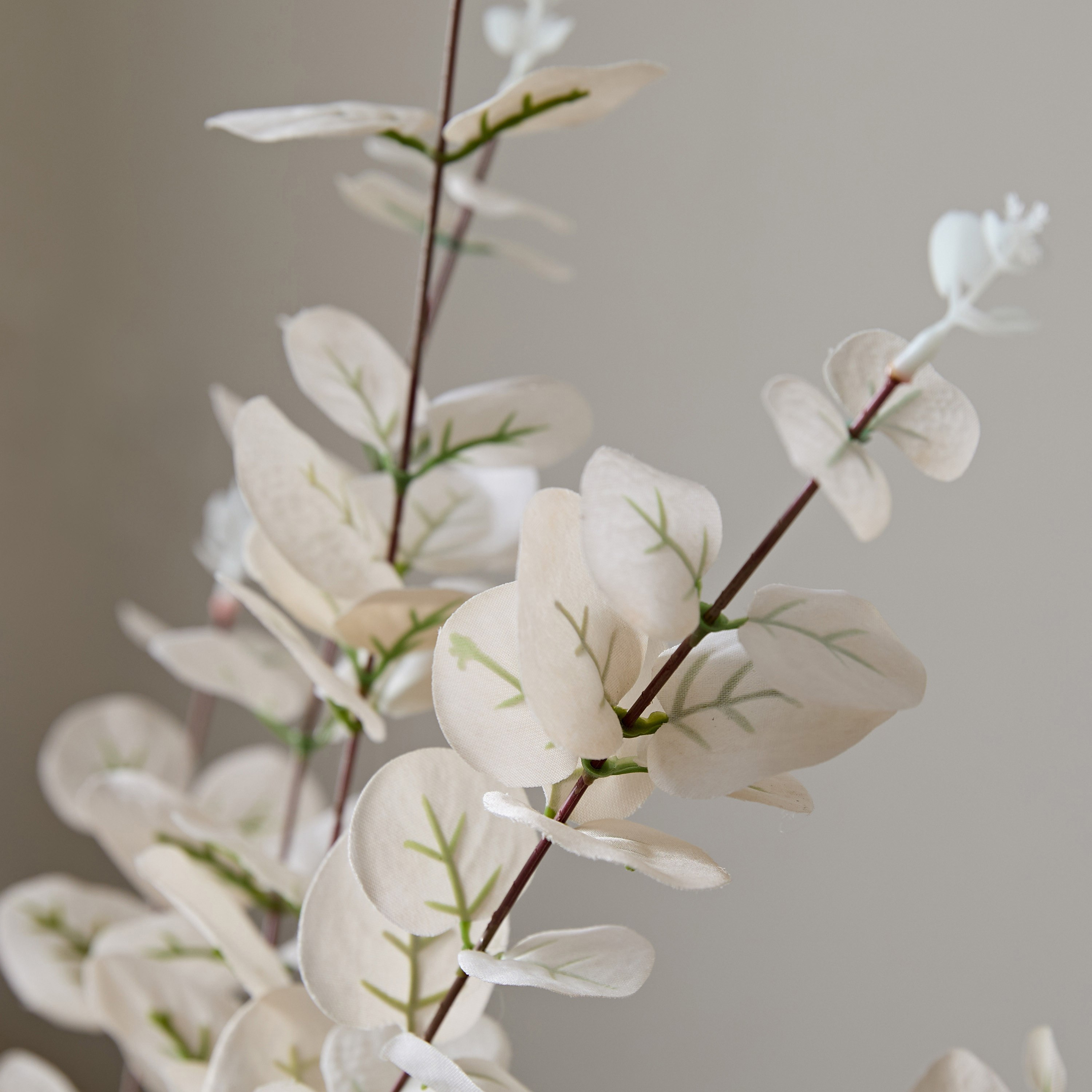 Floret Eucalyptus Flower Satin Spray - 90 cm-hbxdecorandfurnishings-homeaccessories-artificialflowersandplants-image-3