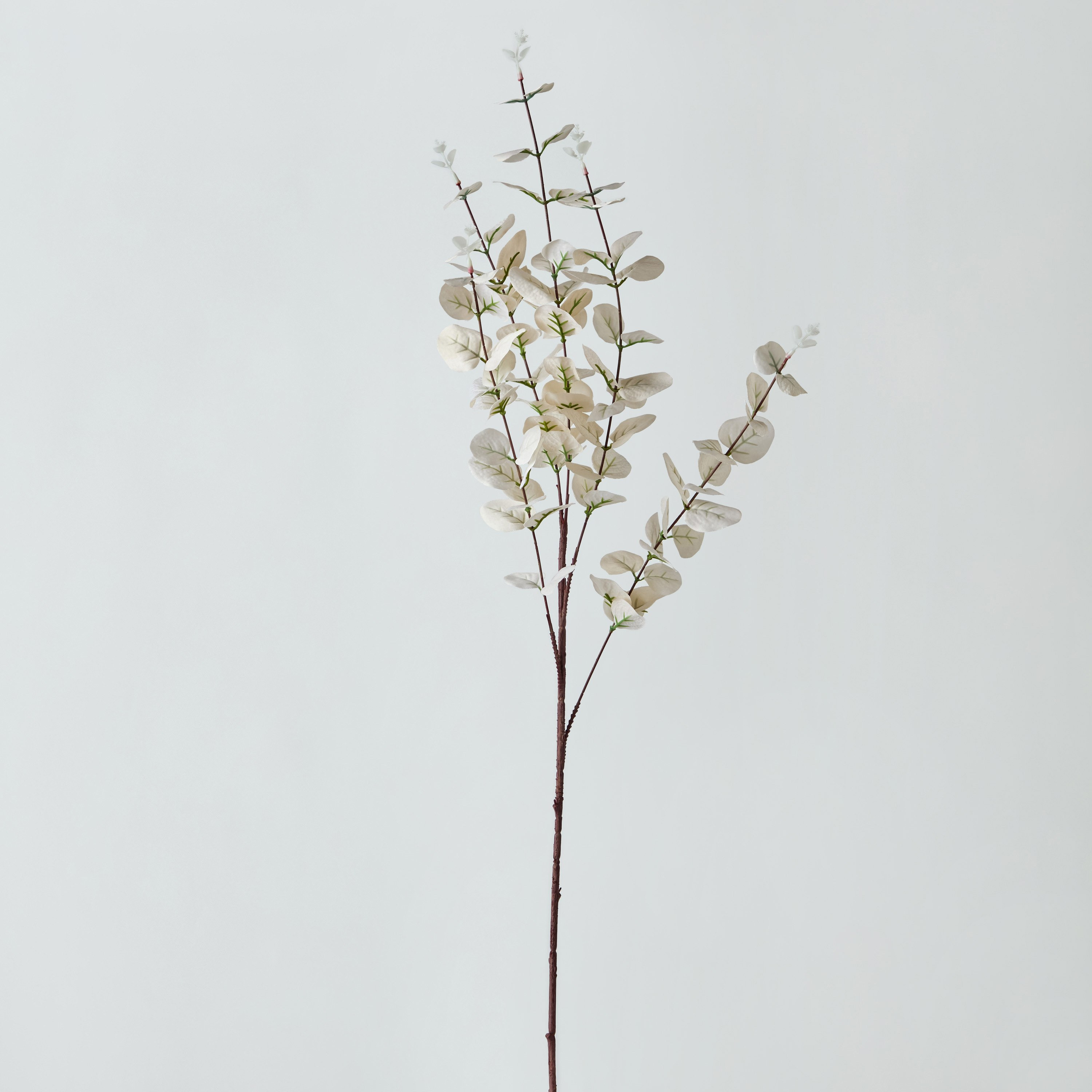 Floret Eucalyptus Flower Satin Spray - 90 cm-hbxdecorandfurnishings-homeaccessories-artificialflowersandplants-image-5