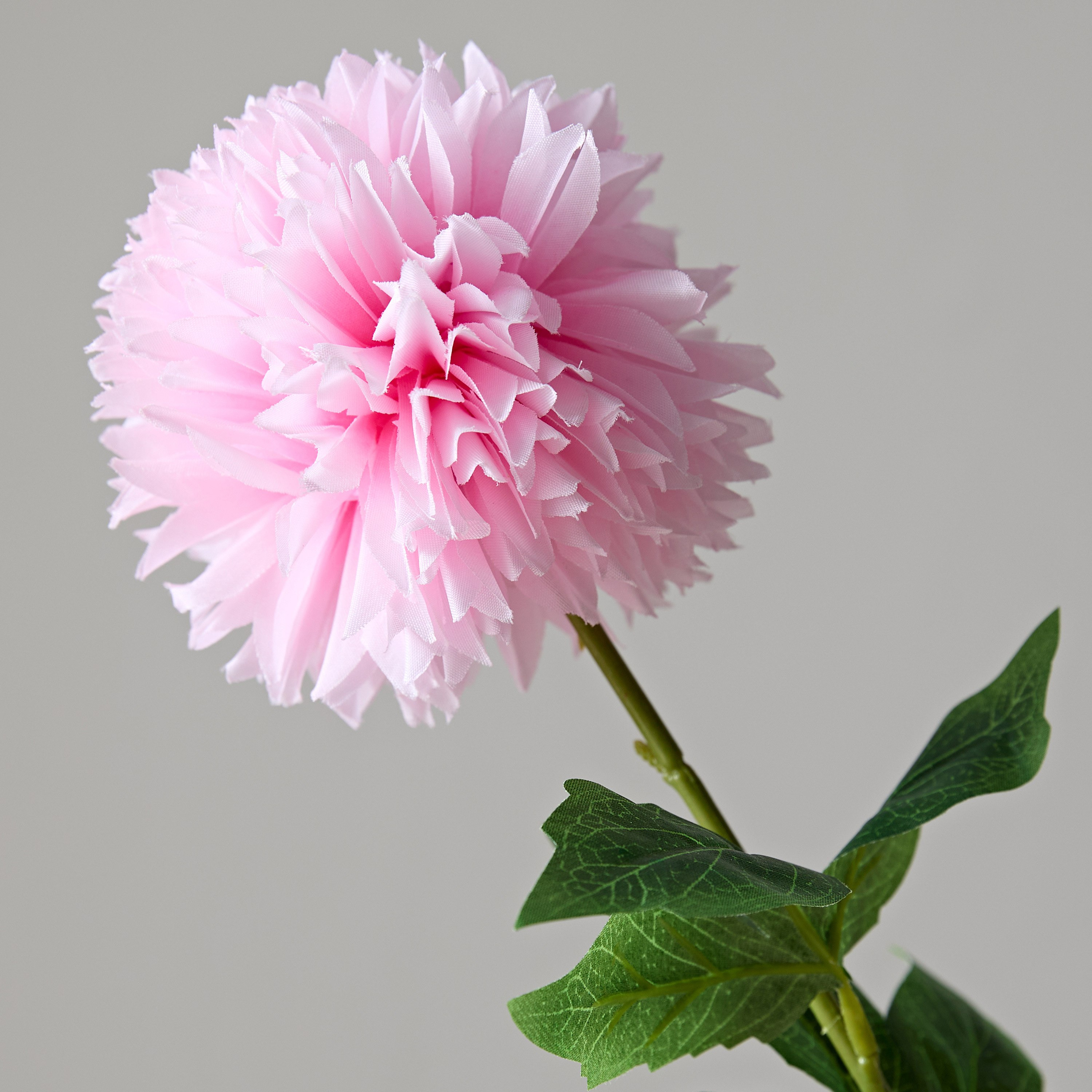 زهرة الأقحوان الكروية مع أوراق شجر من فلوريت - 62 سم-hbxdecorandfurnishings-homeaccessories-artificialflowersandplants-image-3