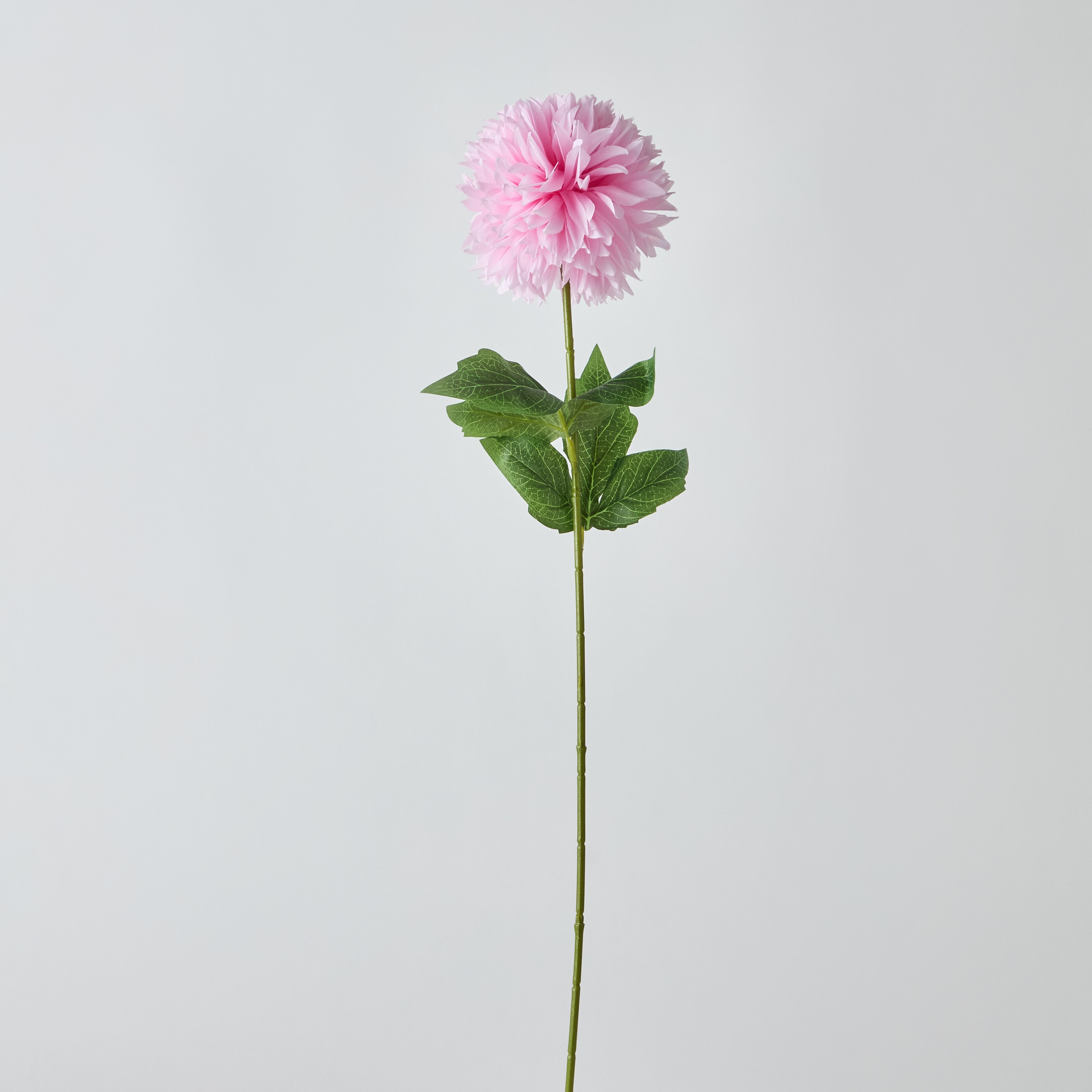 زهرة الأقحوان الكروية مع أوراق شجر من فلوريت - 62 سم-hbxdecorandfurnishings-homeaccessories-artificialflowersandplants-image-5