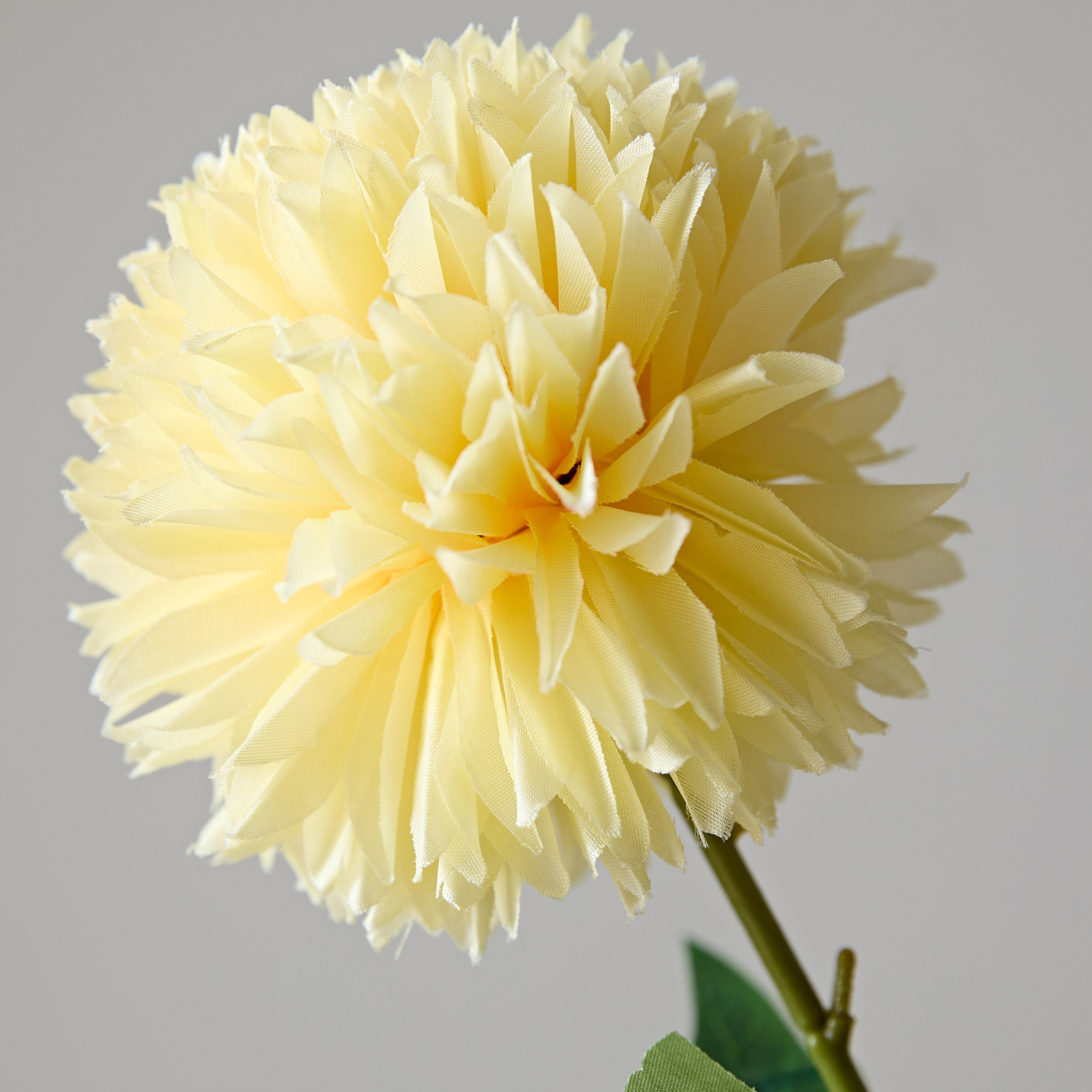زهرة أقحوان كروية بأوراق شجر من فلوريت - 62 سم-hbxdecorandfurnishings-homeaccessories-artificialflowersandplants-image-3