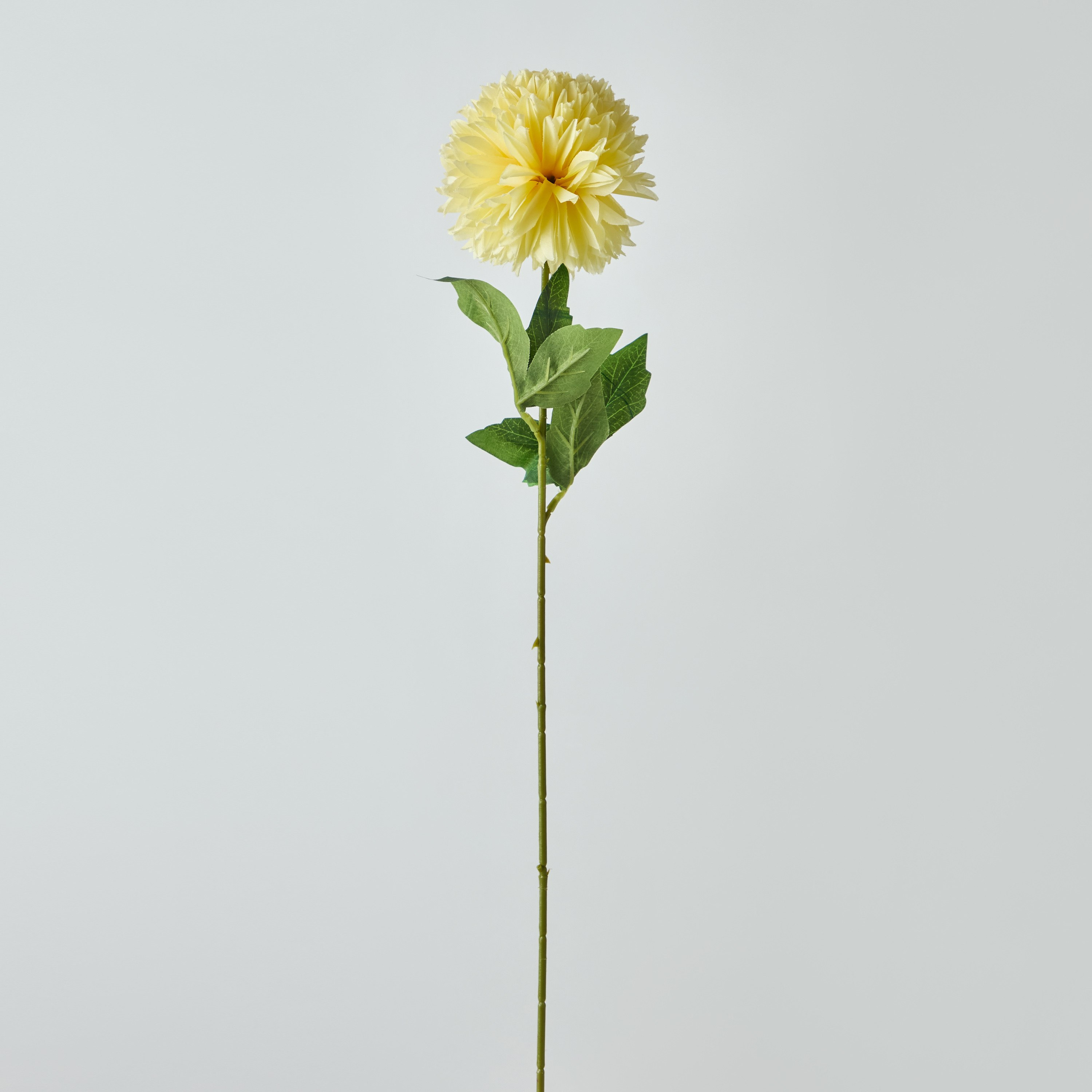 زهرة أقحوان كروية بأوراق شجر من فلوريت - 62 سم-hbxdecorandfurnishings-homeaccessories-artificialflowersandplants-image-5