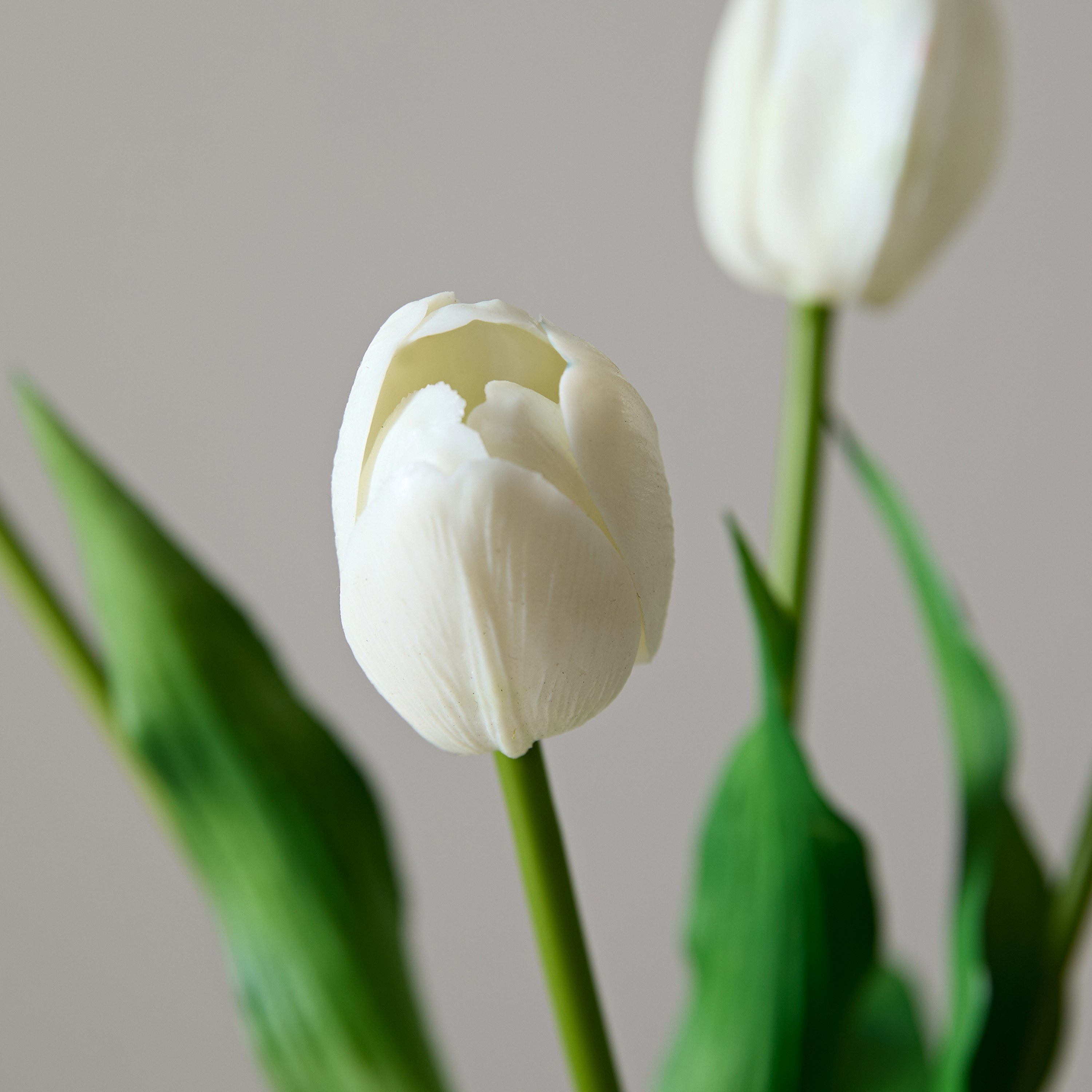باقة توليب ناعم 4 أزهار من فلوريت - 38 سم-hbxdecorandfurnishings-homeaccessories-artificialflowersandplants-image-3