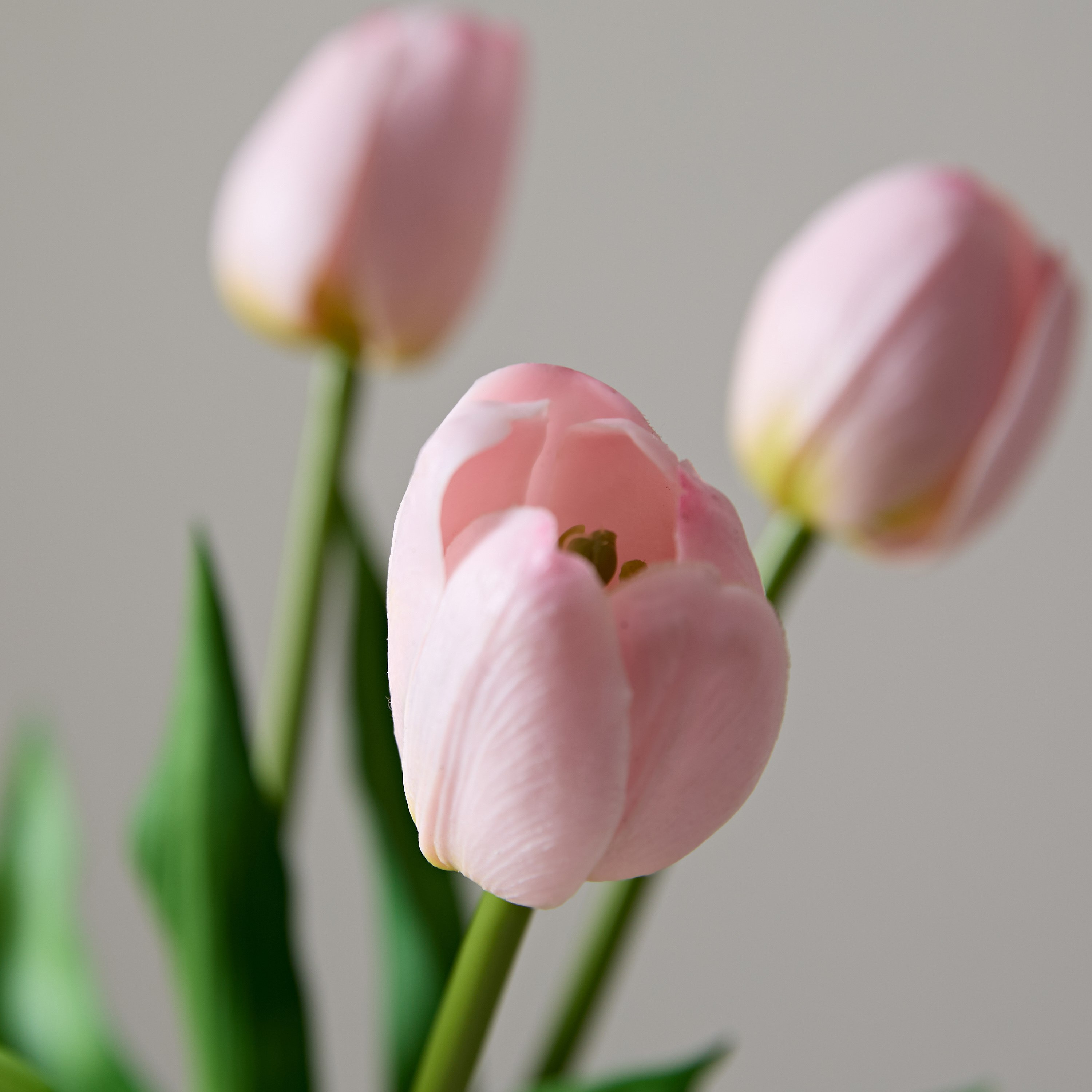 باقة توليب ناعم 4 أزهار من فلوريت - 38 سم-hbxdecorandfurnishings-homeaccessories-artificialflowersandplants-image-3