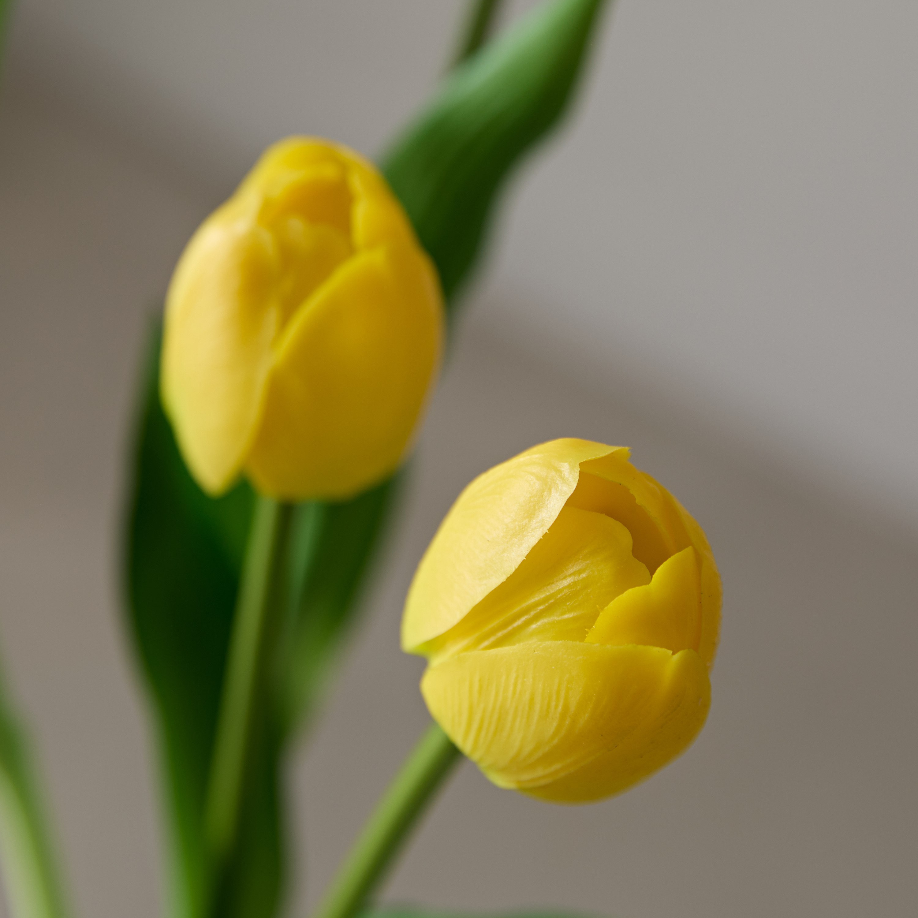 باقة توليب ناعم 4 أزهار من فلوريت - 38 سم-hbxdecorandfurnishings-homeaccessories-artificialflowersandplants-image-3