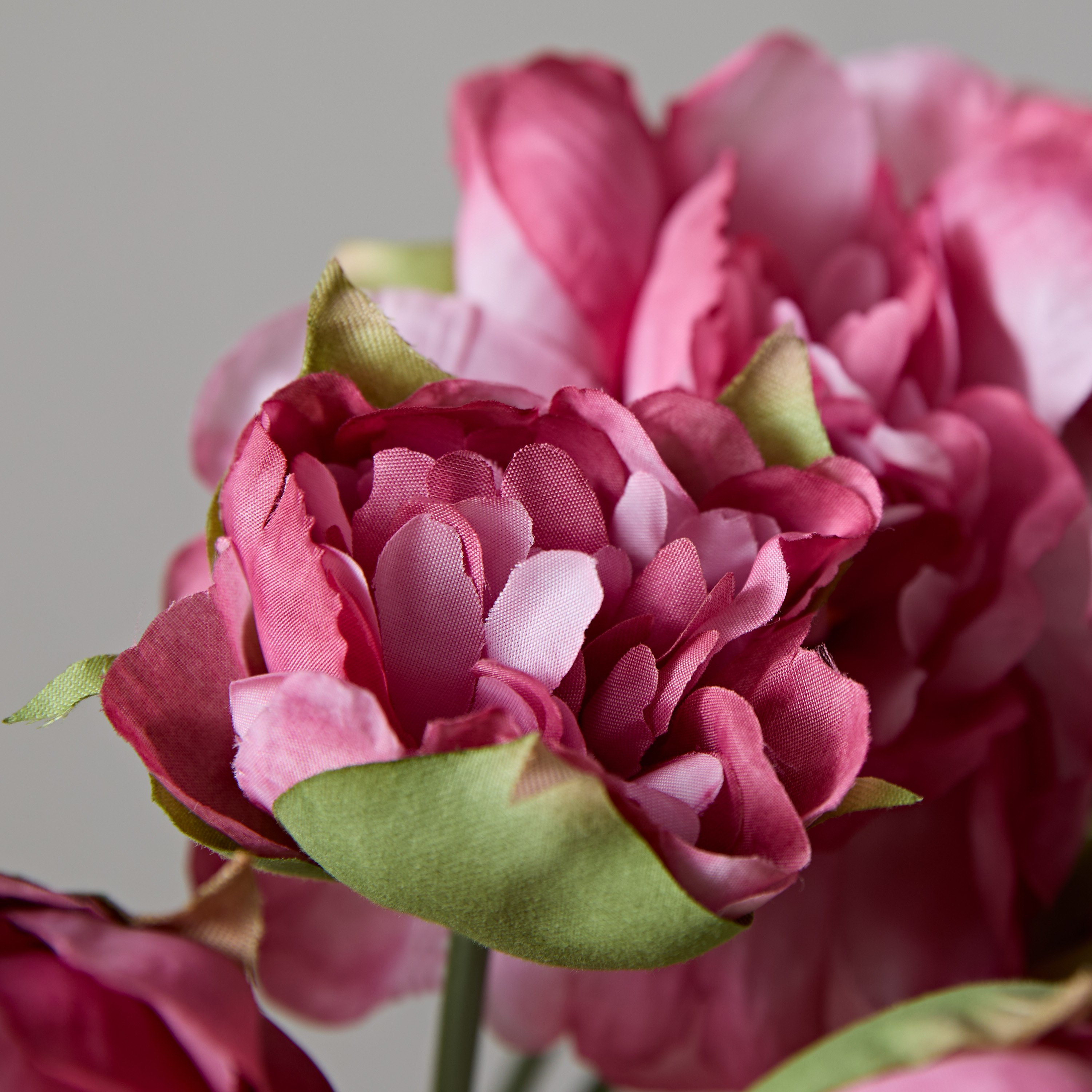 باقة زهور الفاوانيا مع 5 رؤوس من فلوريت - 27 سم-hbxdecorandfurnishings-homeaccessories-artificialflowersandplants-image-3