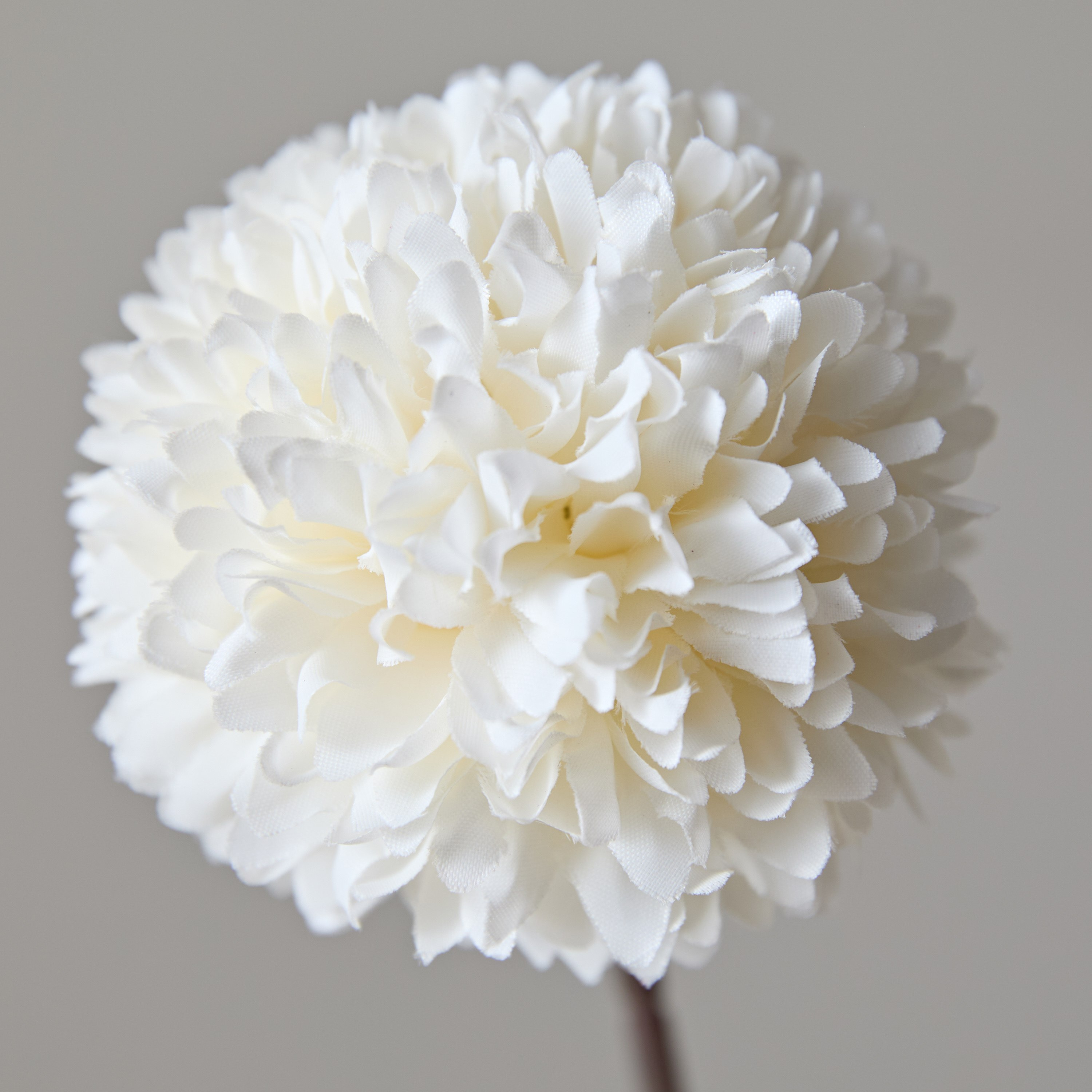 زهرة اقحوان كروية بدون ورق من فلوريت - 33 سم-hbxdecorandfurnishings-homeaccessories-artificialflowersandplants-image-3