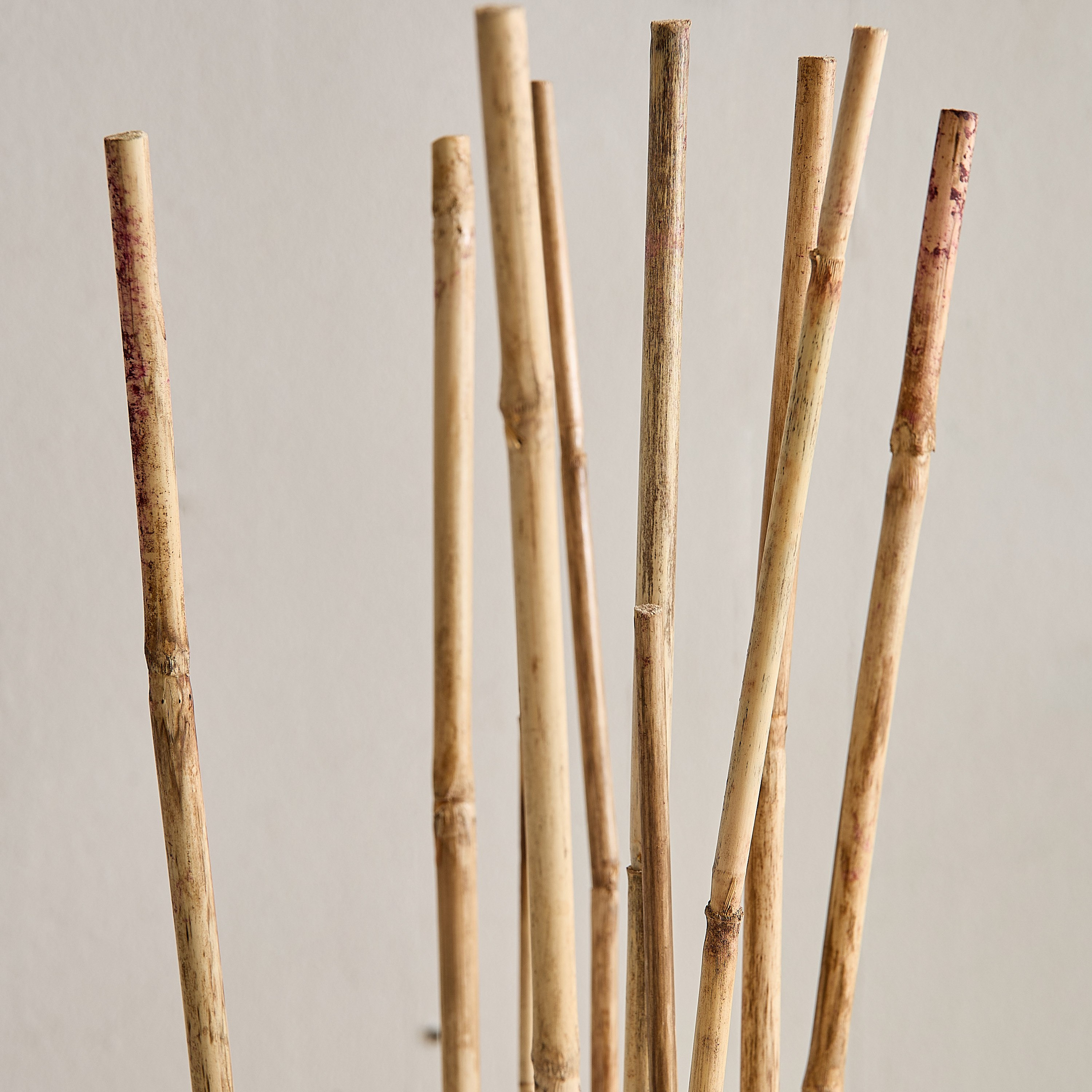 طقم أعواد ديكور- 10 قطع من سينا-hbxdecorandfurnishings-homeaccessories-artificialflowersandplants-image-3